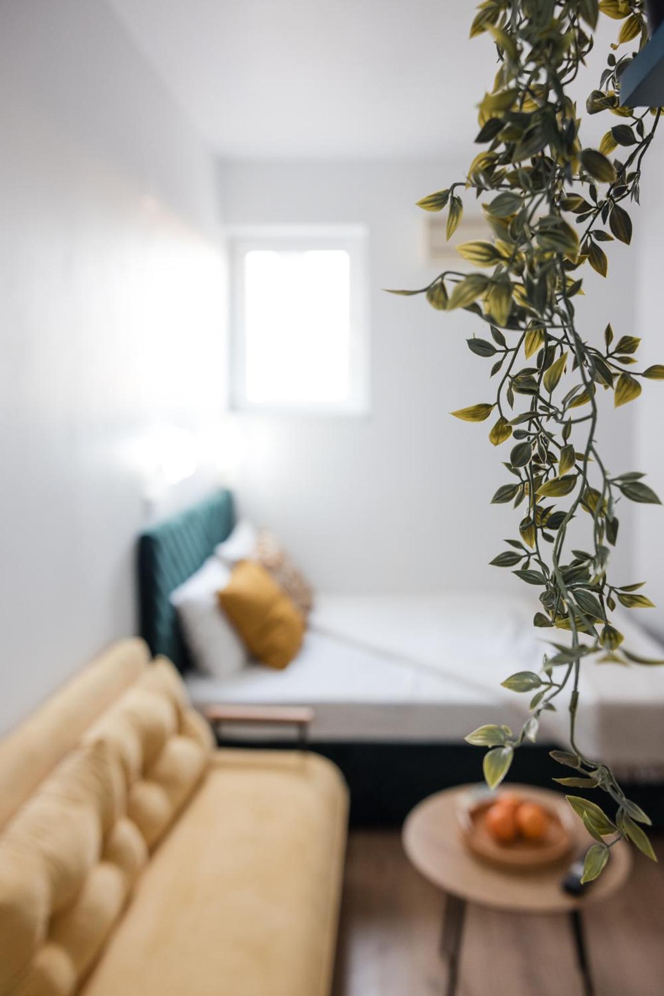 Bienvenue Studio- Steps from OldTown