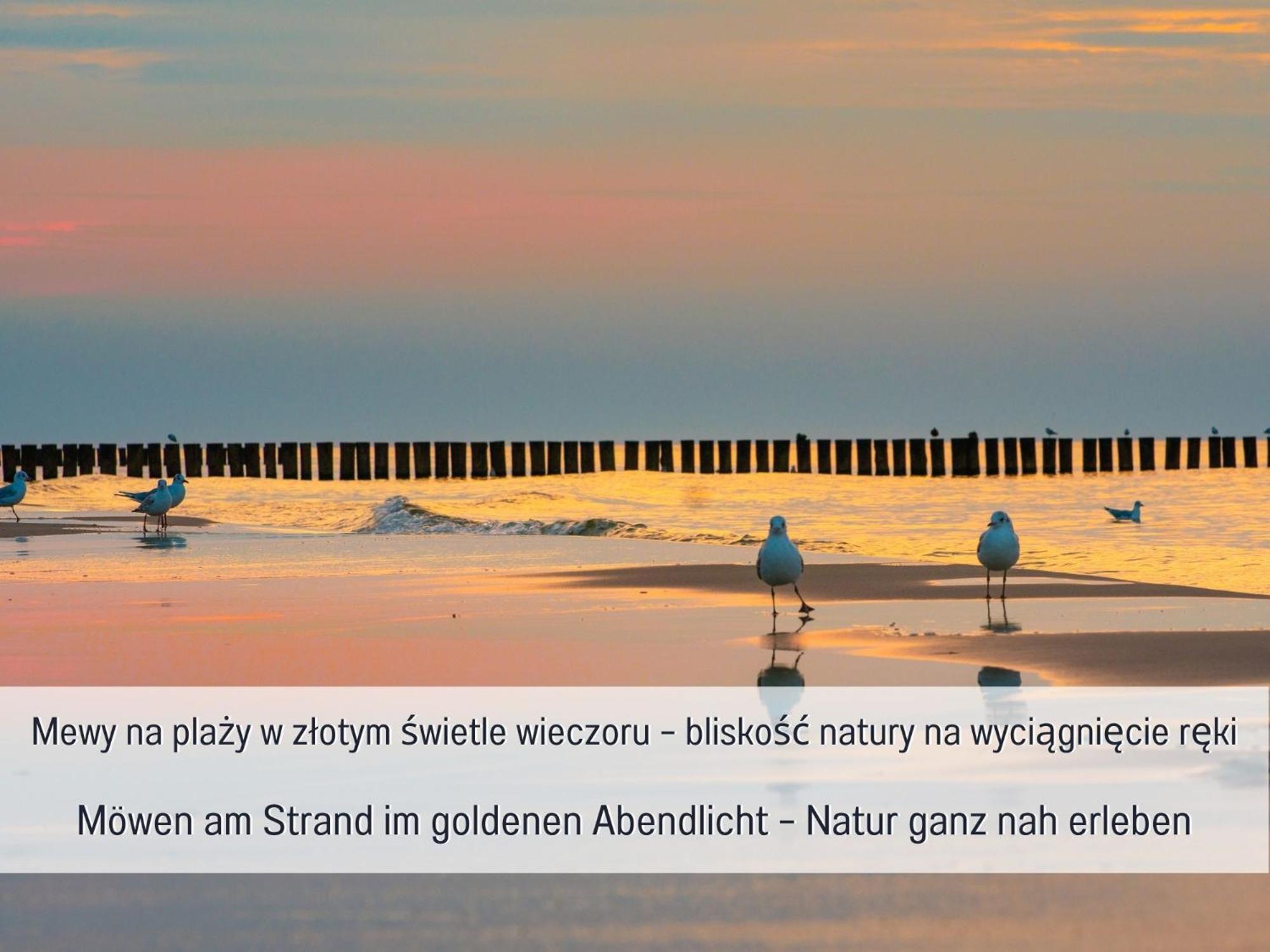Apartament Design Szept Mewy z balkonem i zestawem plażowym - Niechorze