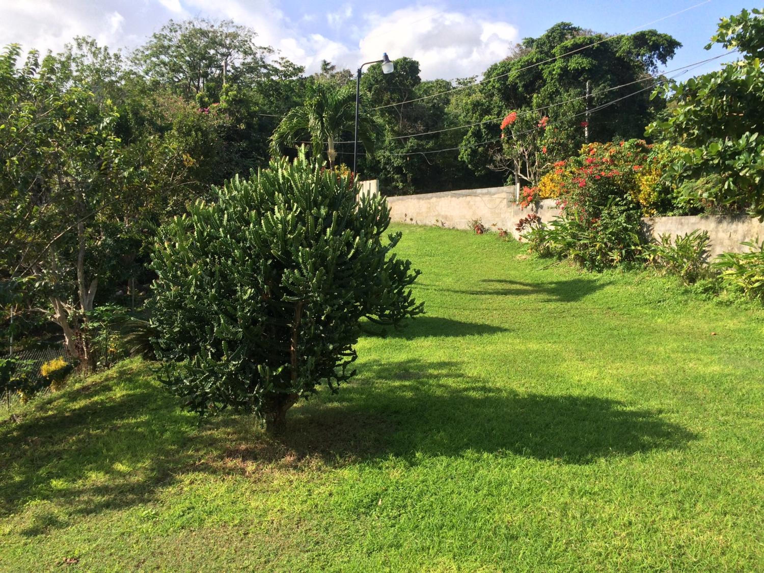Teresinajamaica