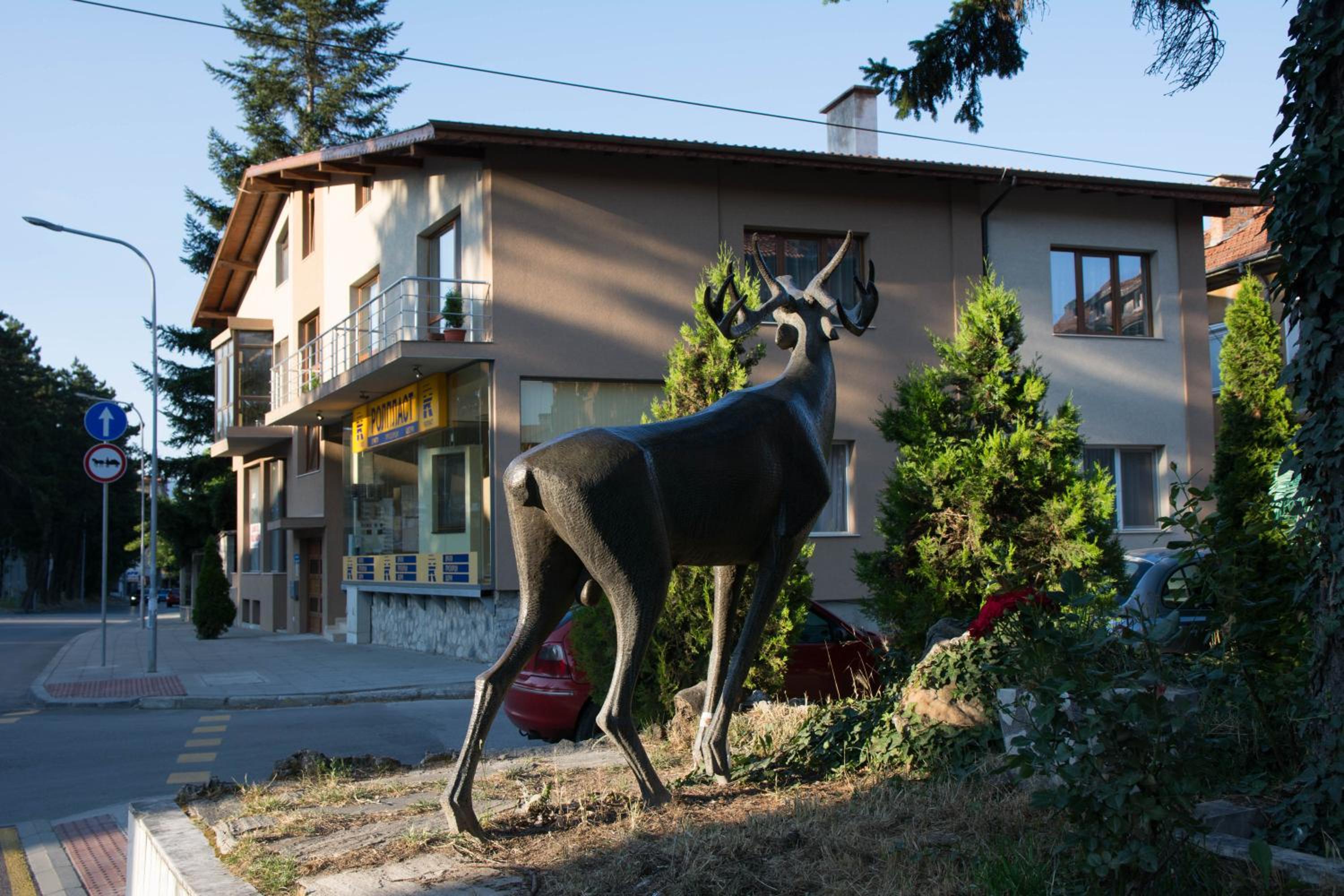 Guest House Elena