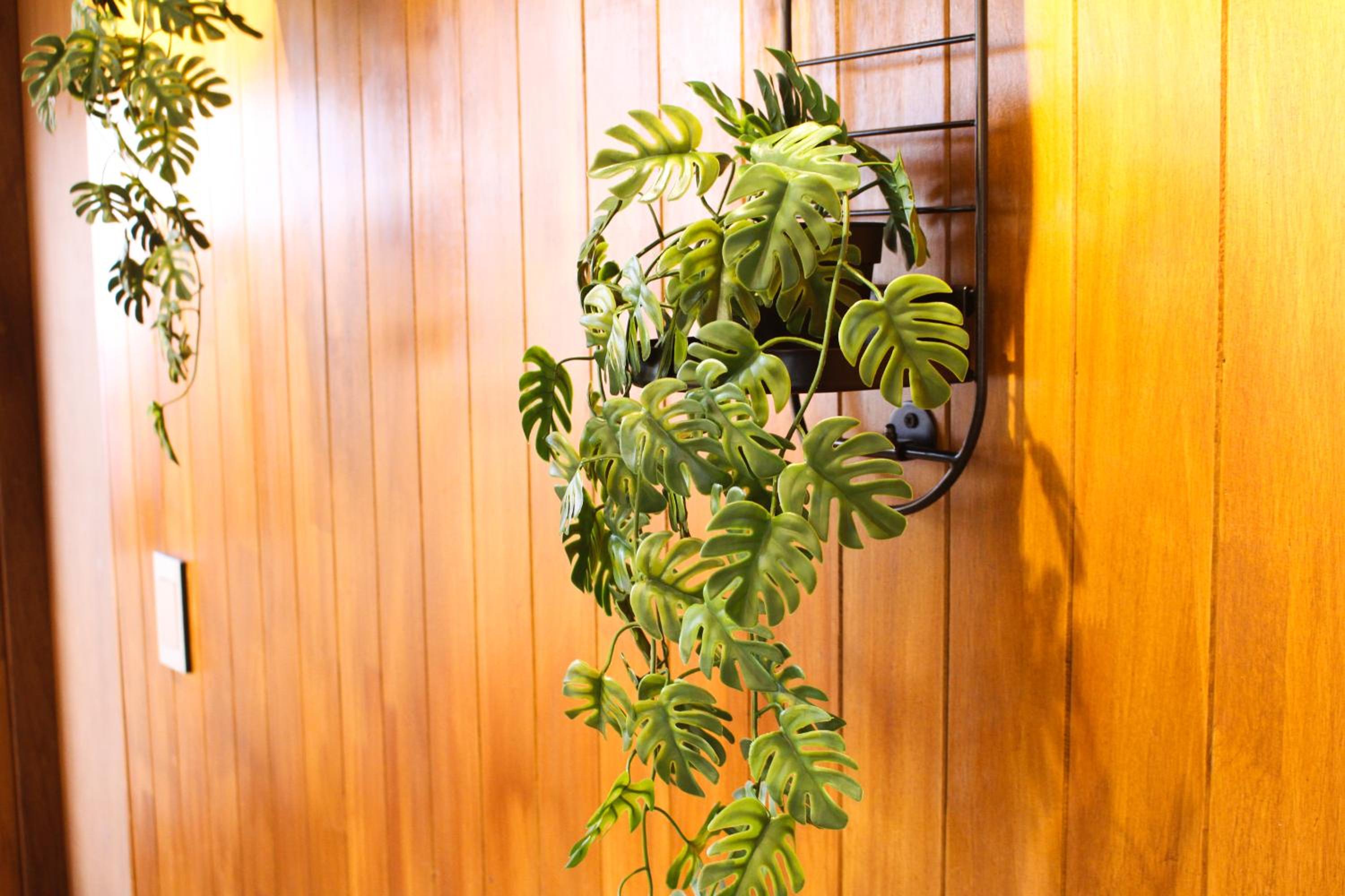 Central Hongdae Red Road Stay 4 Beds, Near Mangwon & Sangsu