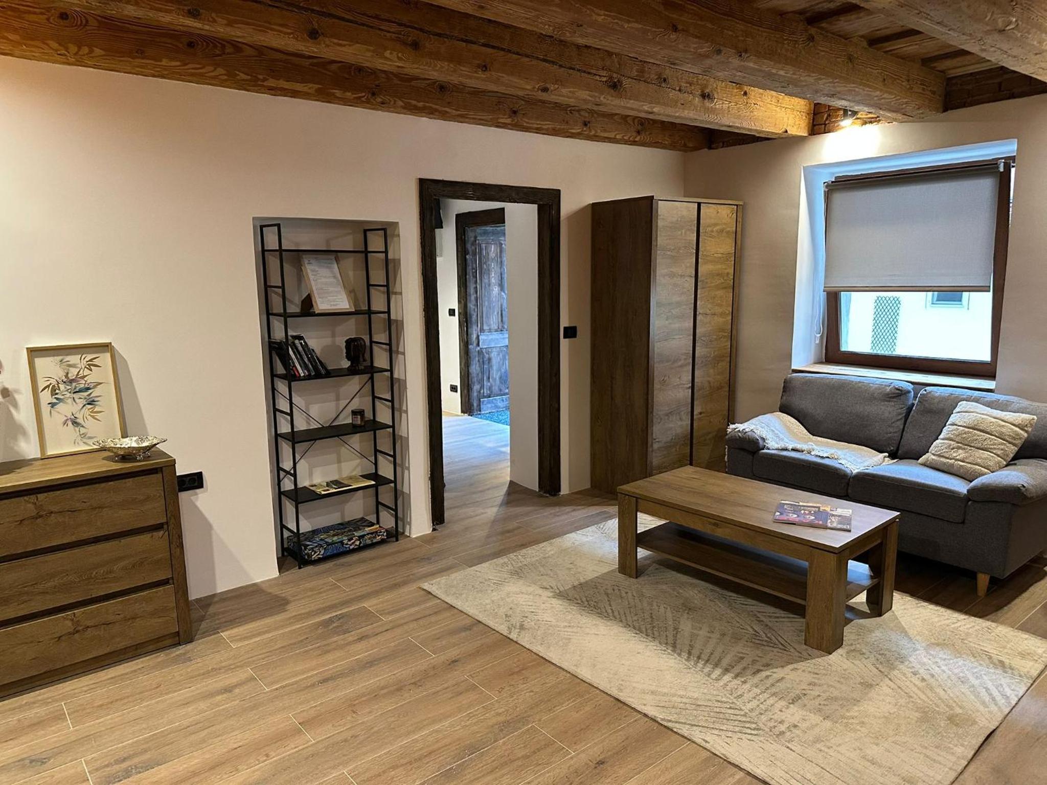 ALBERT RESIDENCE City Center Accommodation Brașov
