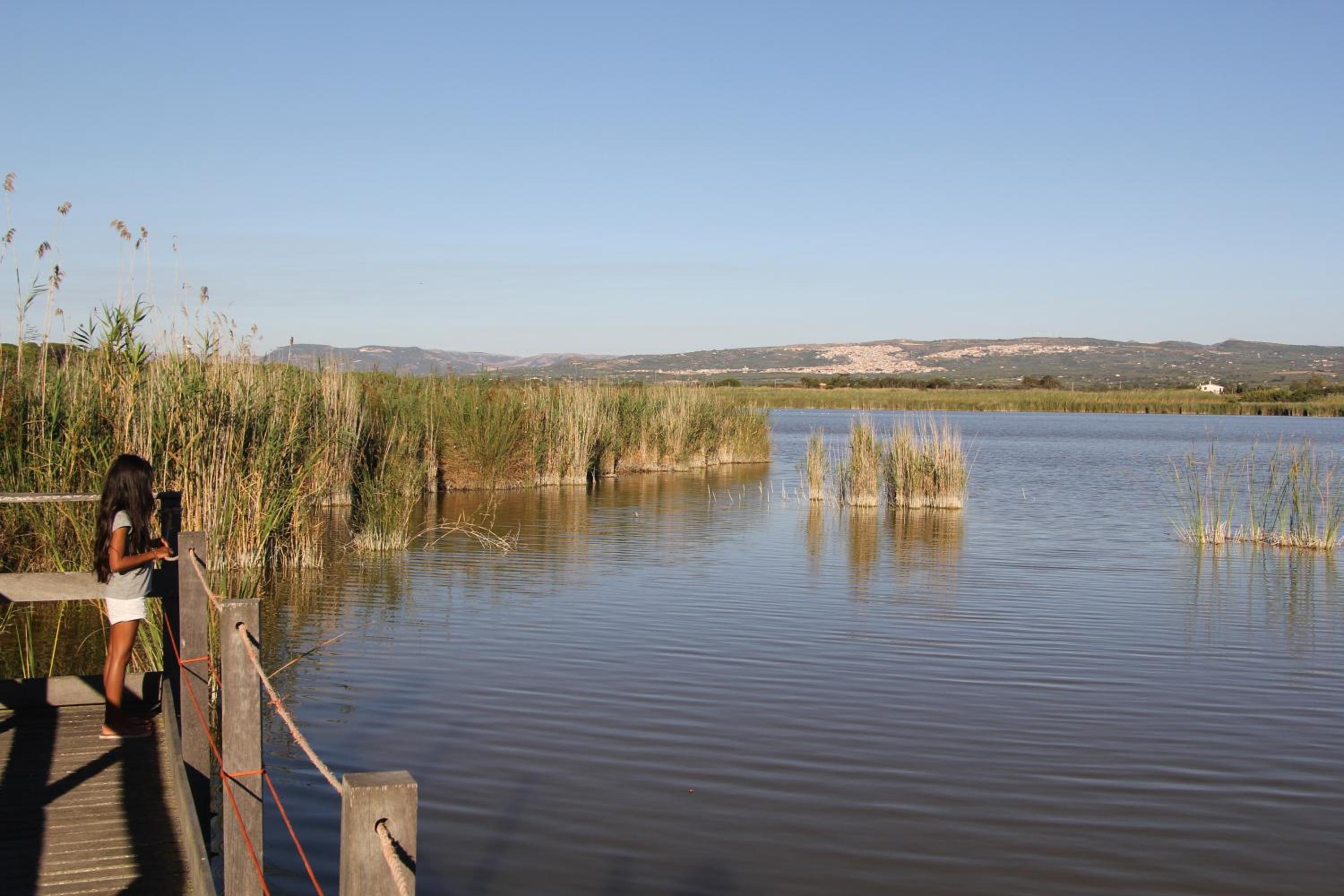Agliadò