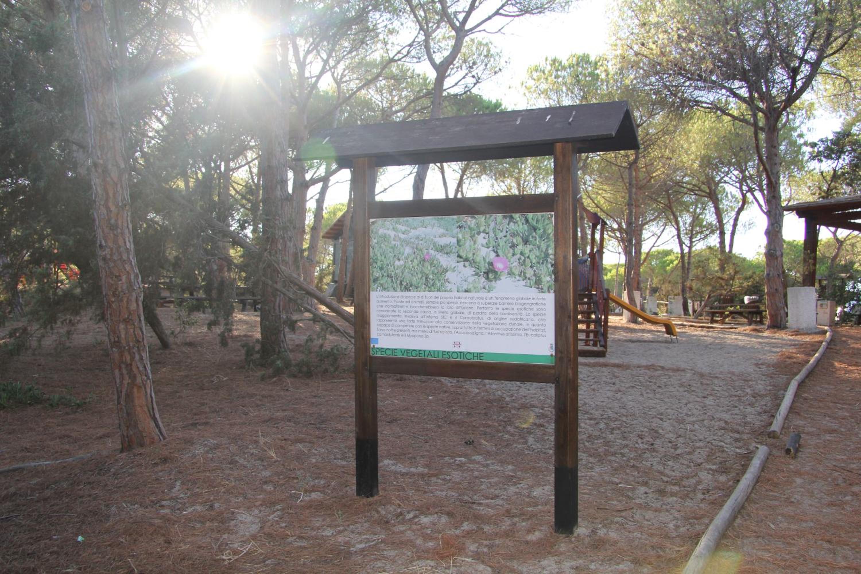 Agliadò