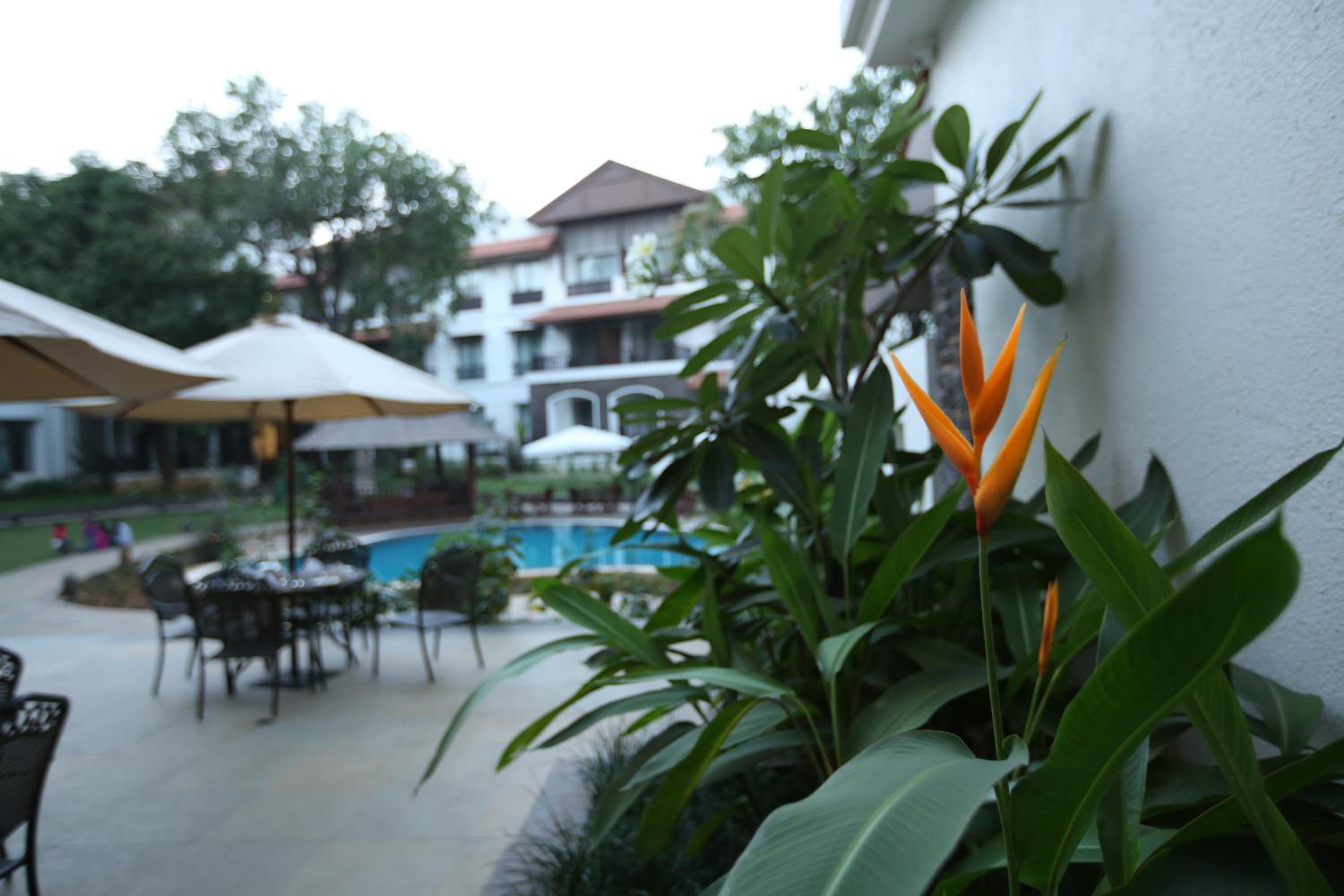 Rhythm Lonavala - An All Suite Resort