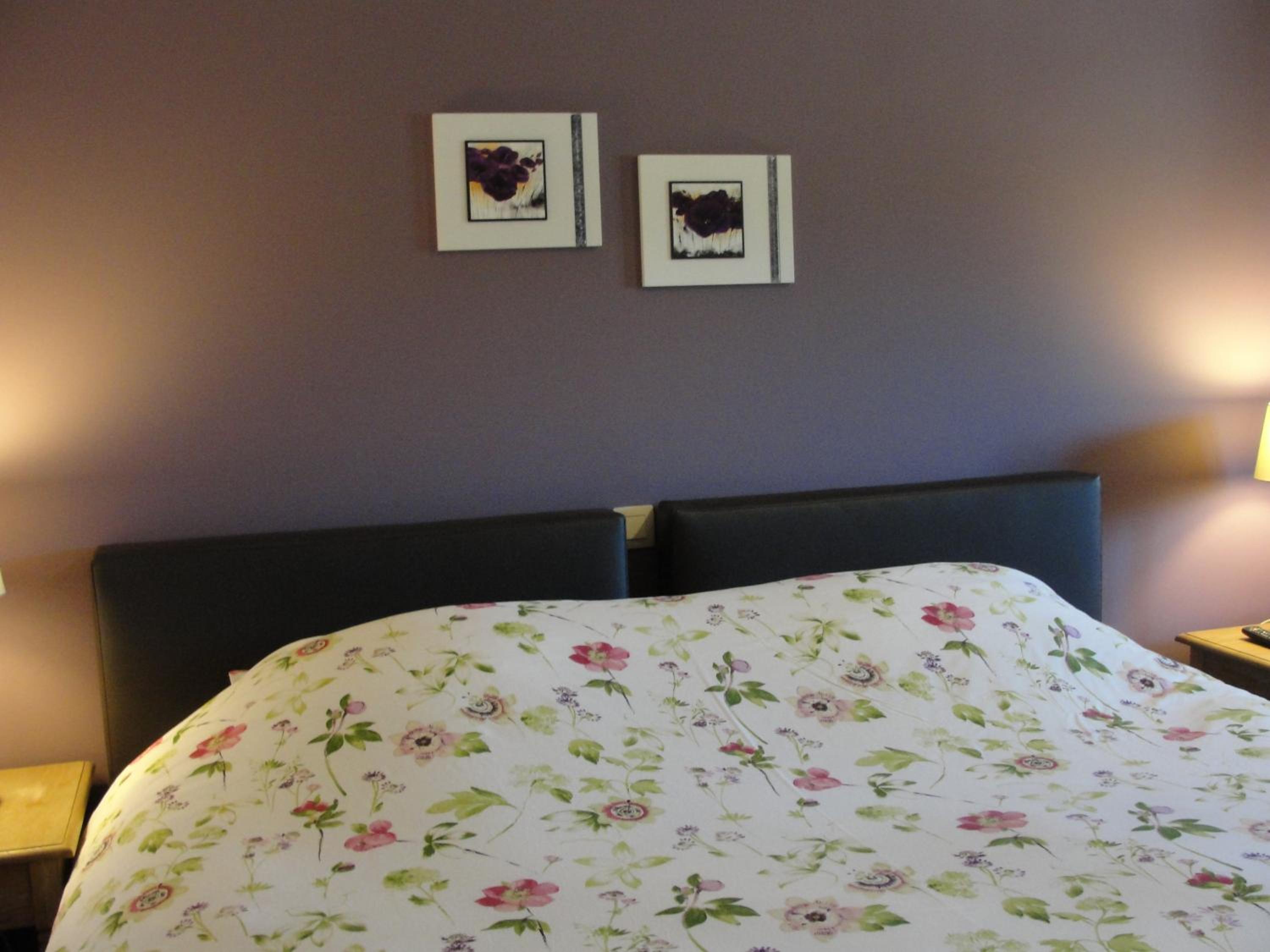 B&B Hedera
