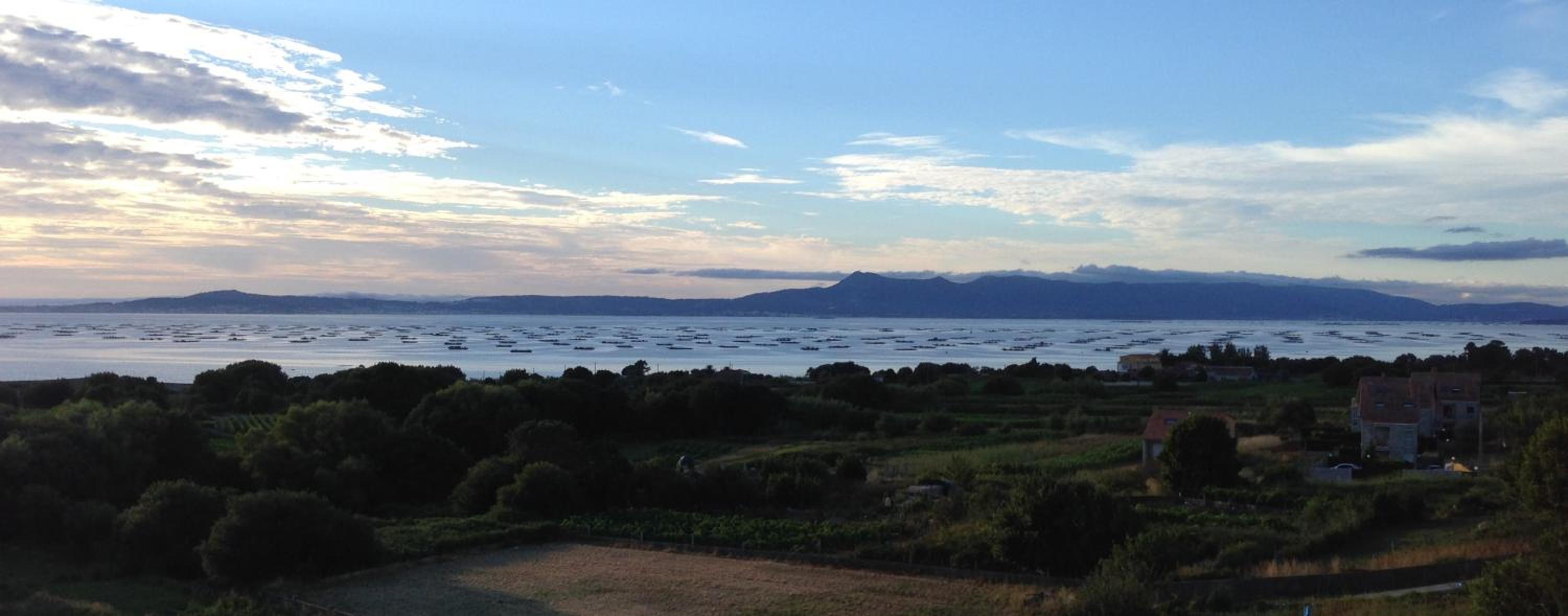 Casa Maria o Grove view 5