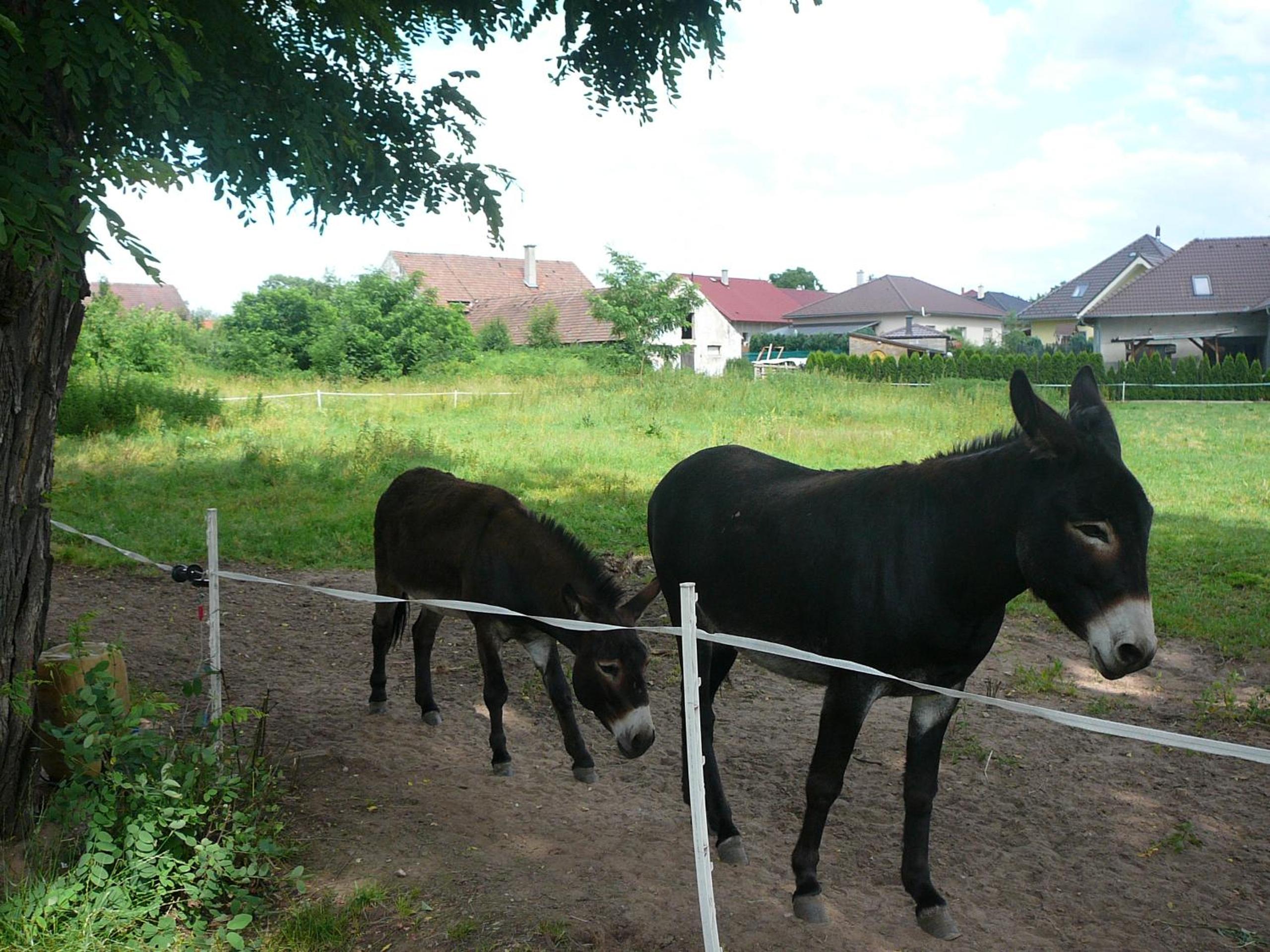 Penzion U Štoly