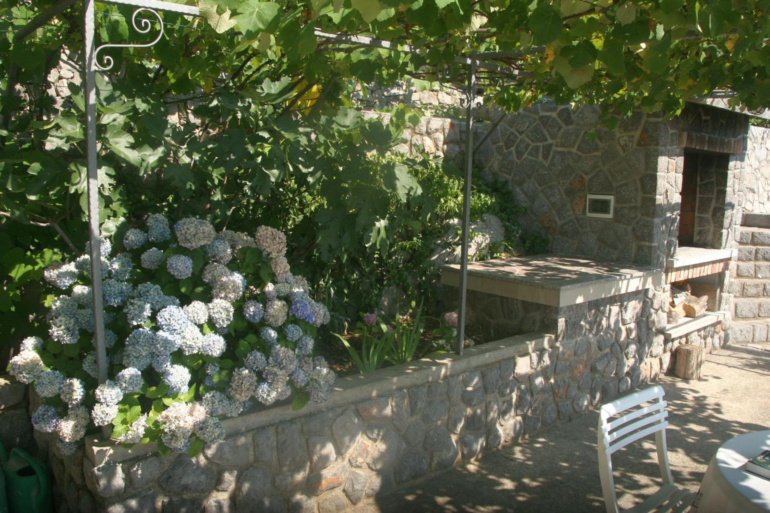 Accommodation Salvia