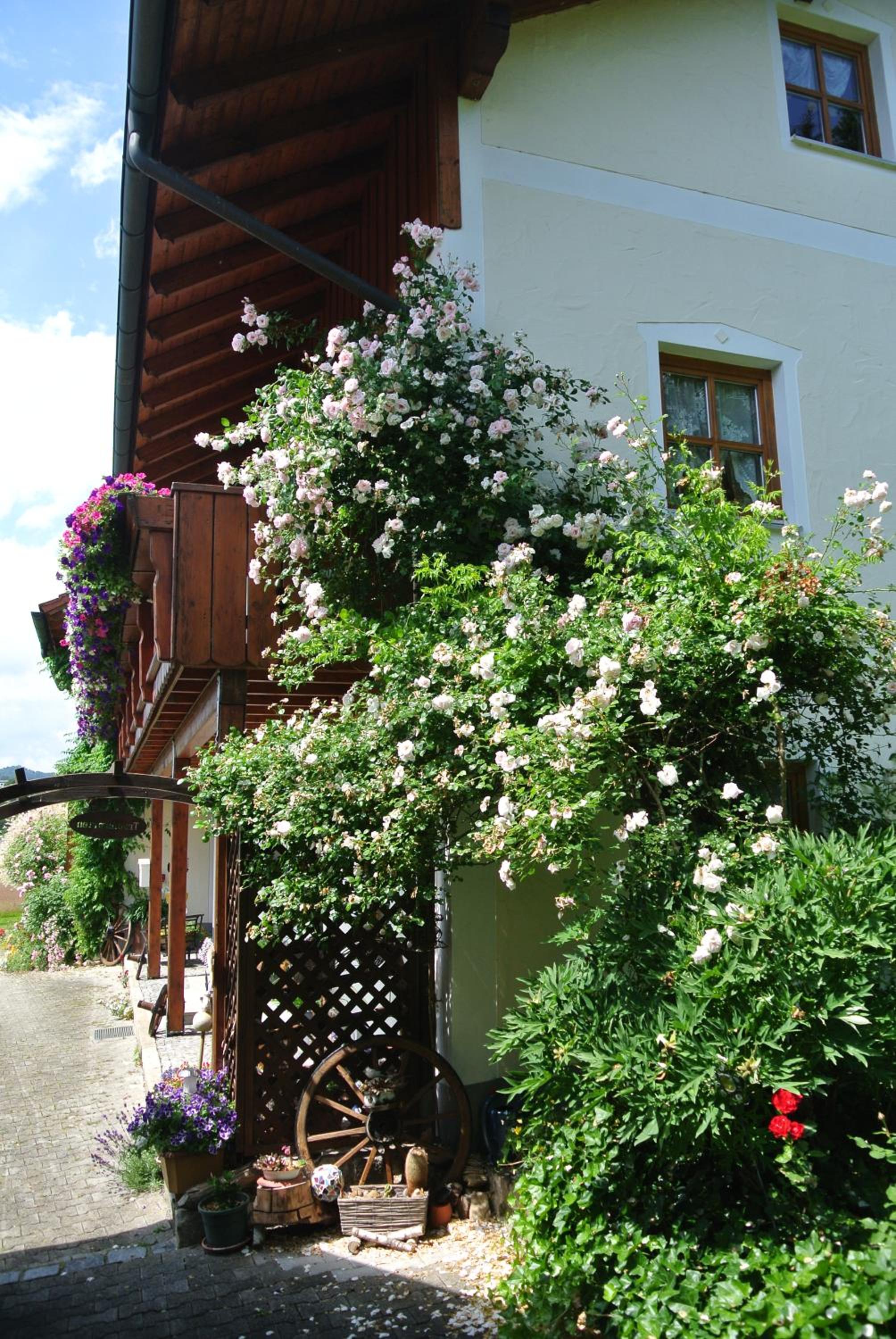 Haus Am Waldrand - Ferienwohnung Augustin view 3