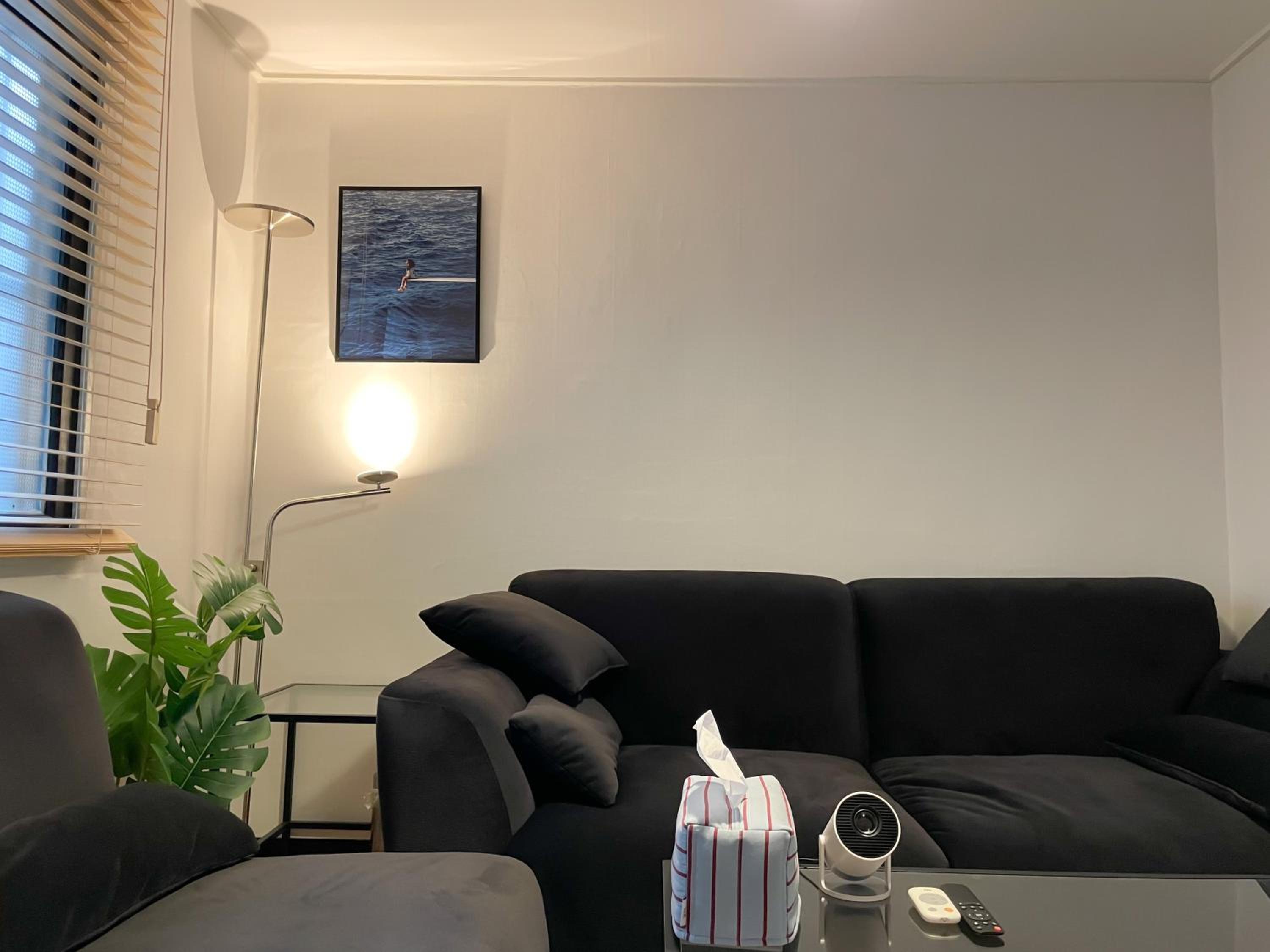 블랙앤우드 하우스, 합정역 도보 5분, 홍대 1정거장, 망원한강공원 Modern Cozy Seoul Loft, Hapjeong station 5 mins walk, Hongdae just 1 stop