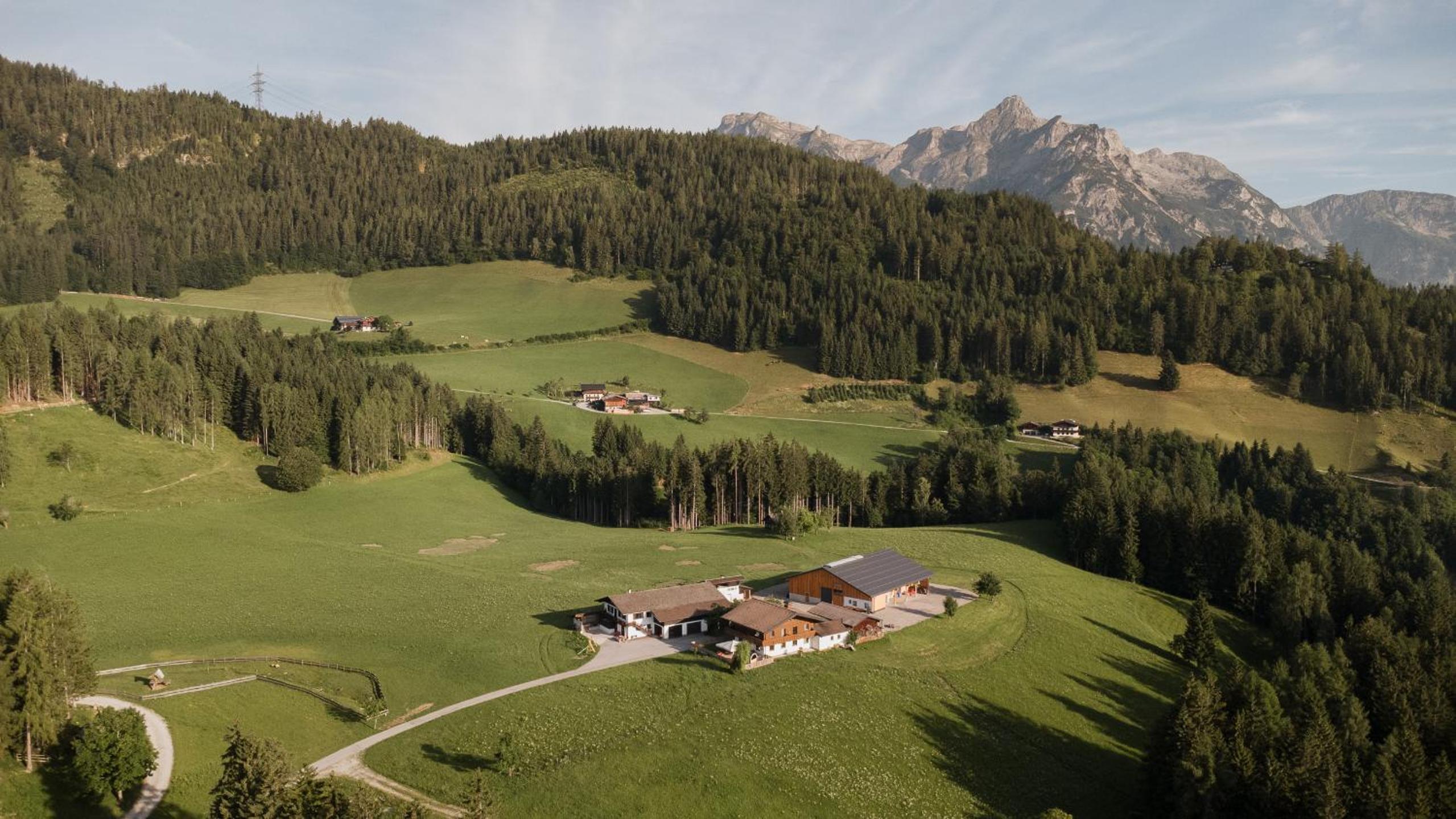 Mountain Residence Riesgut - Sound of Music - 6 Rooms for Family & Friends