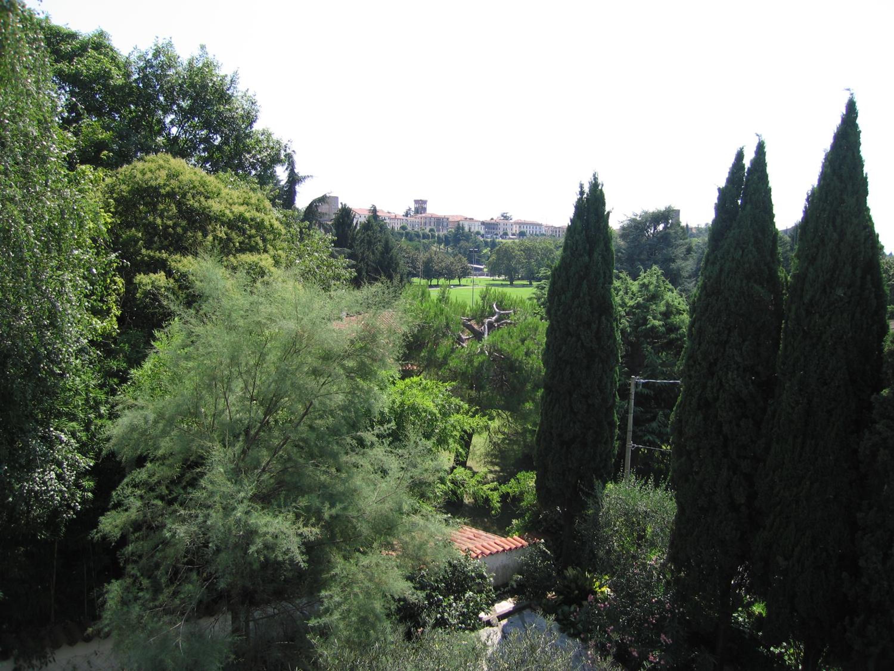 Photo 28