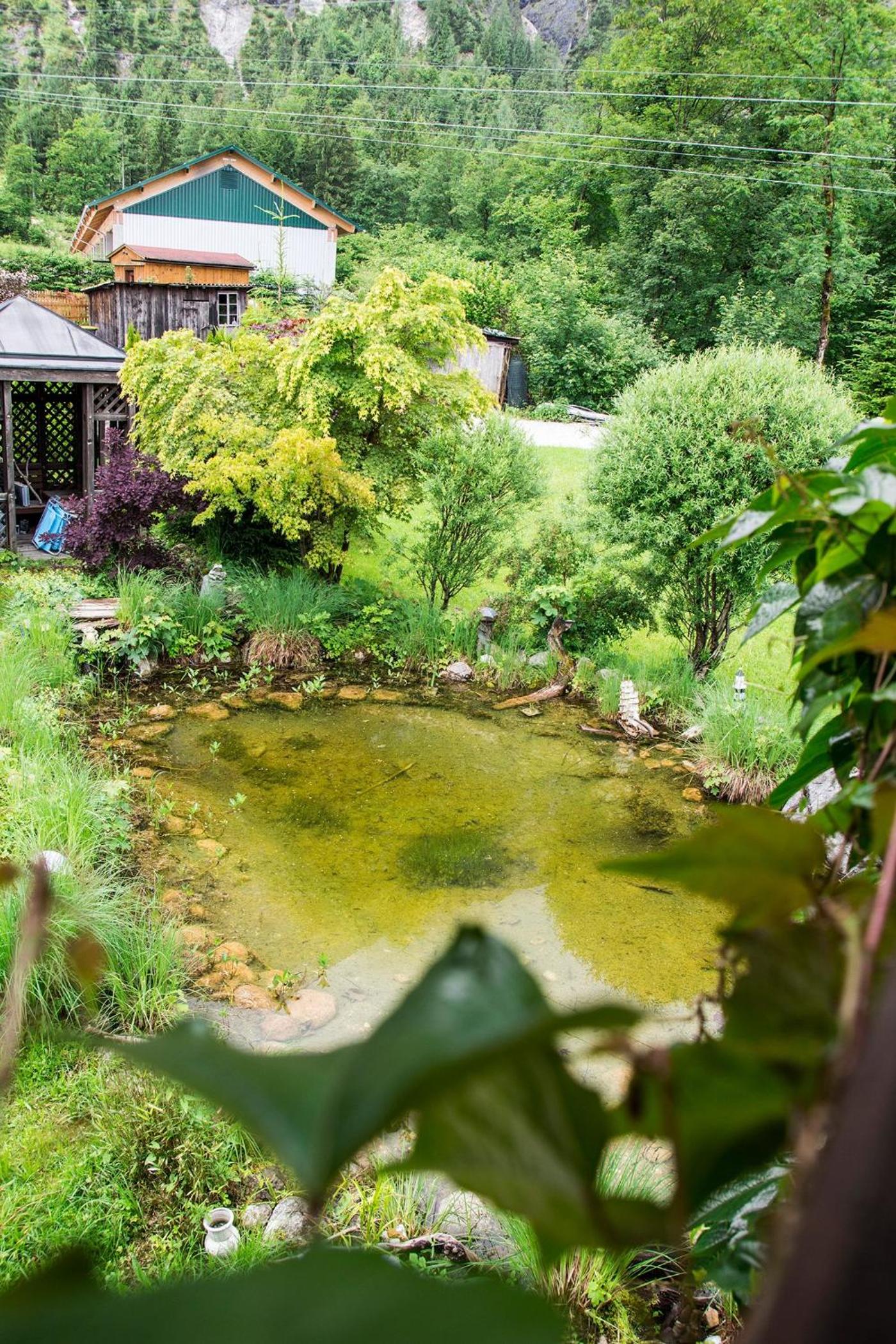 Landhaus HALLSTATT FEELING - Apartment - Self Check-in
