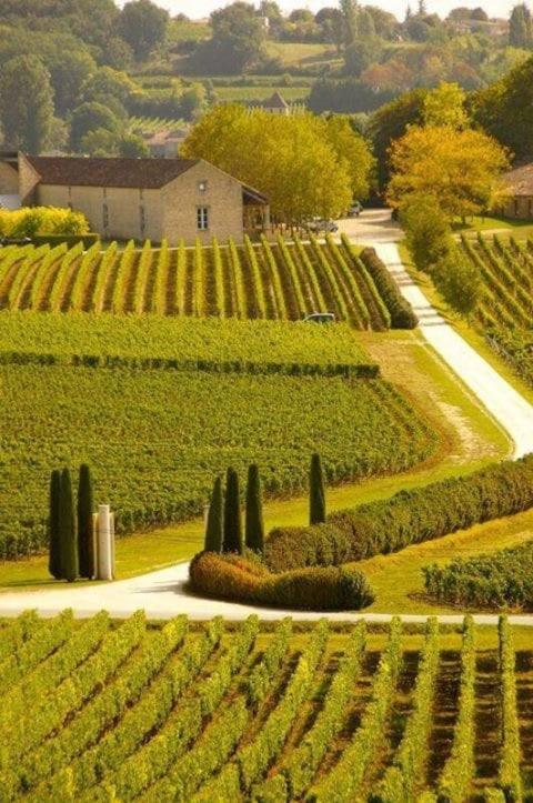 La Bulle Millésimée - à deux pas de la Gare et de l'Avenue de Champagne