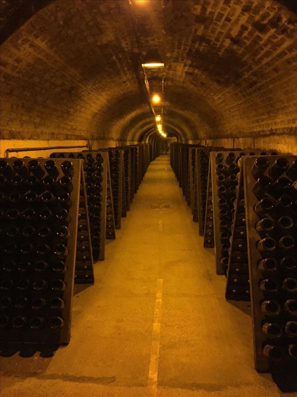 La Bulle Millésimée - à deux pas de la Gare et de l'Avenue de Champagne