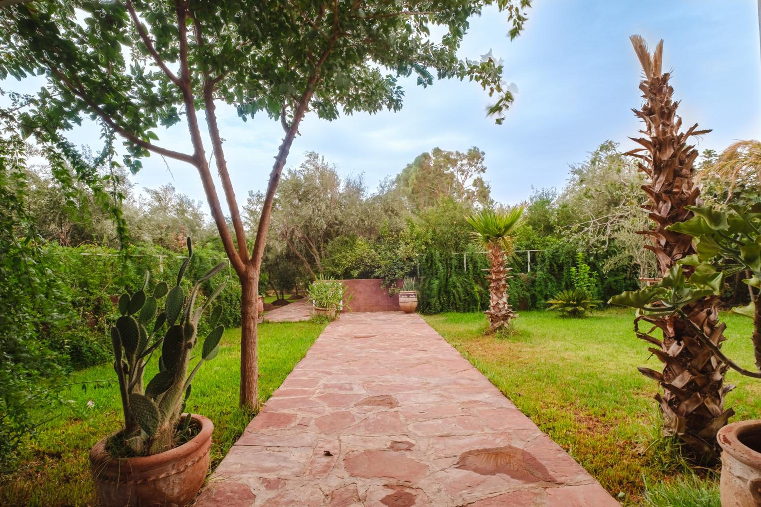 Dar Salah - Eddine Oasis Pool & SPA
