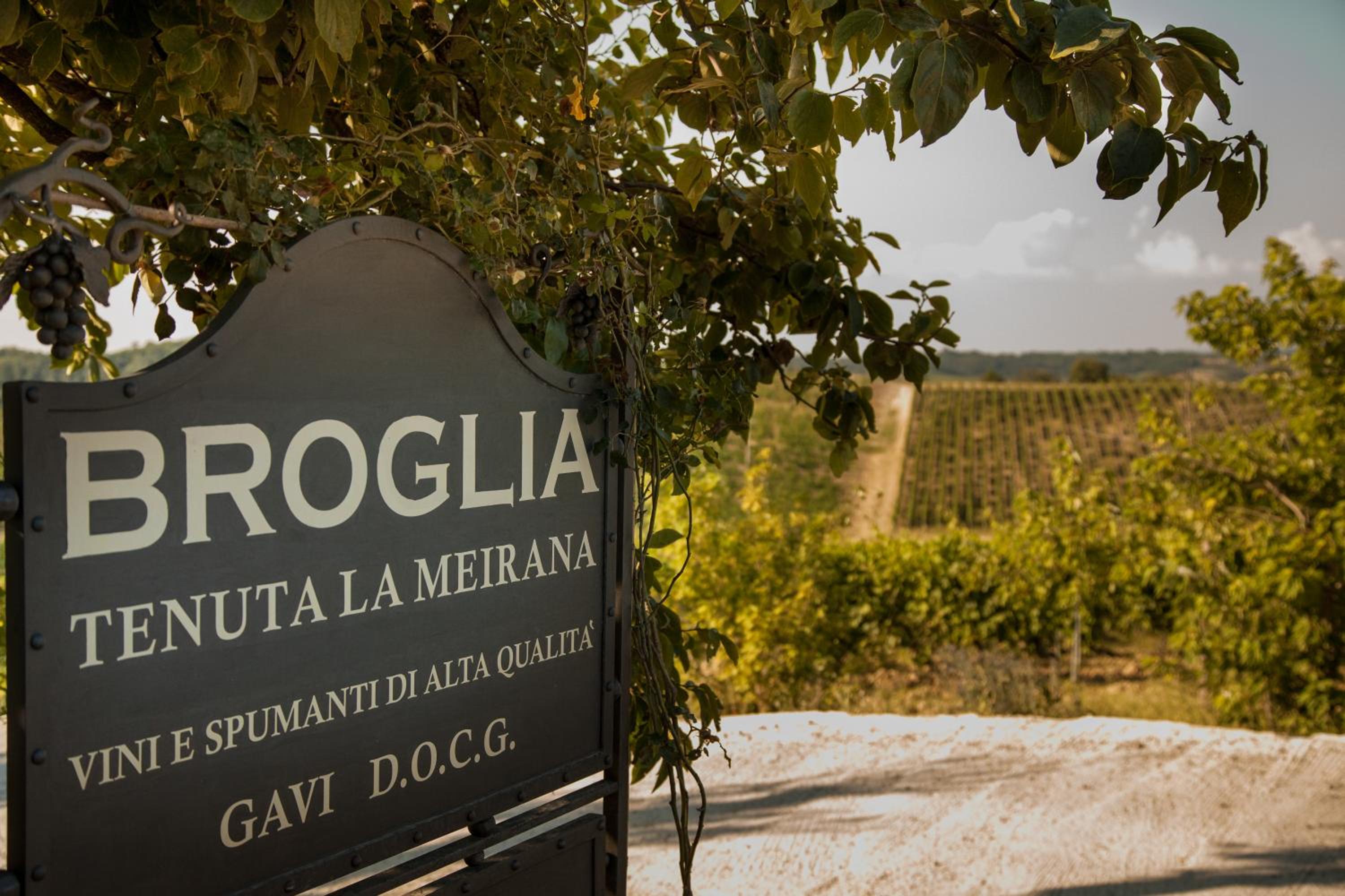 Tenuta La Meirana Gavi