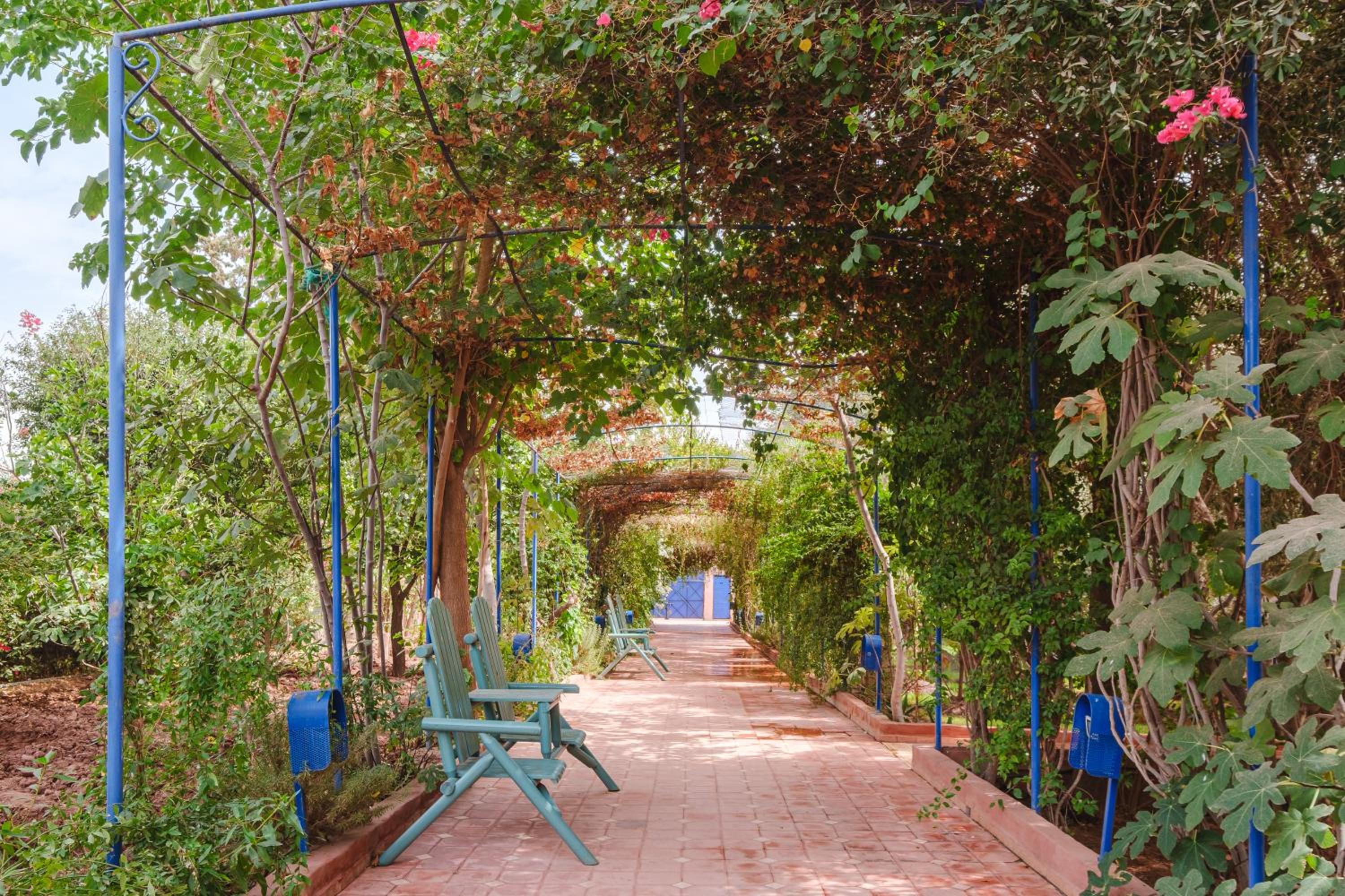 Dar Salah - Eddine Oasis Pool & SPA