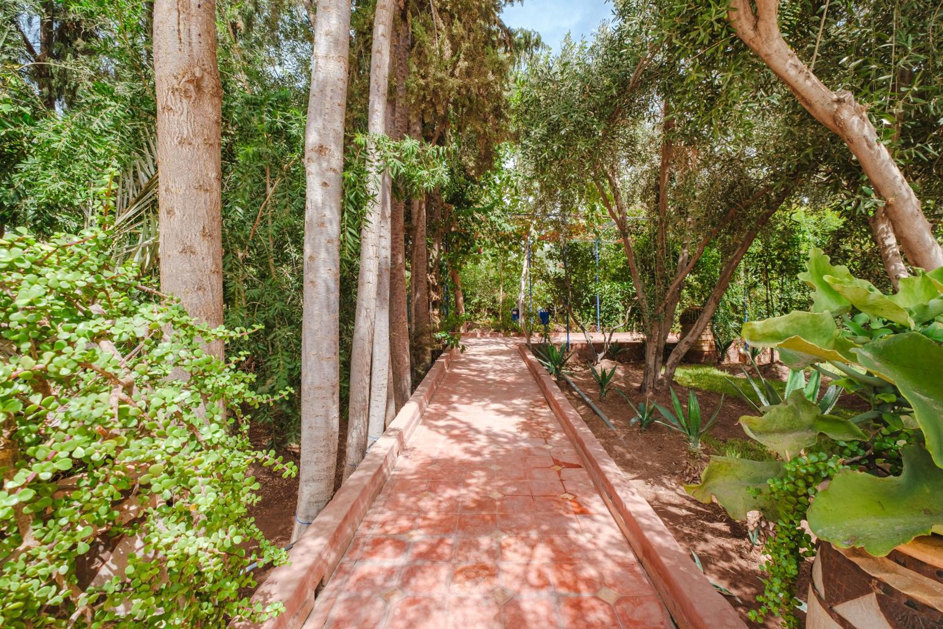 Dar Salah - Eddine Oasis Pool & SPA