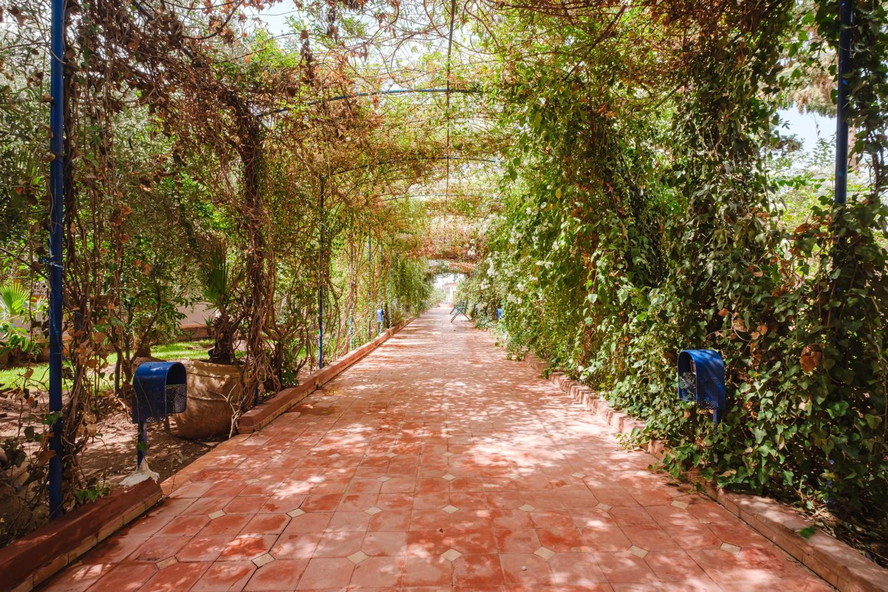 Dar Salah - Eddine Oasis Pool & SPA