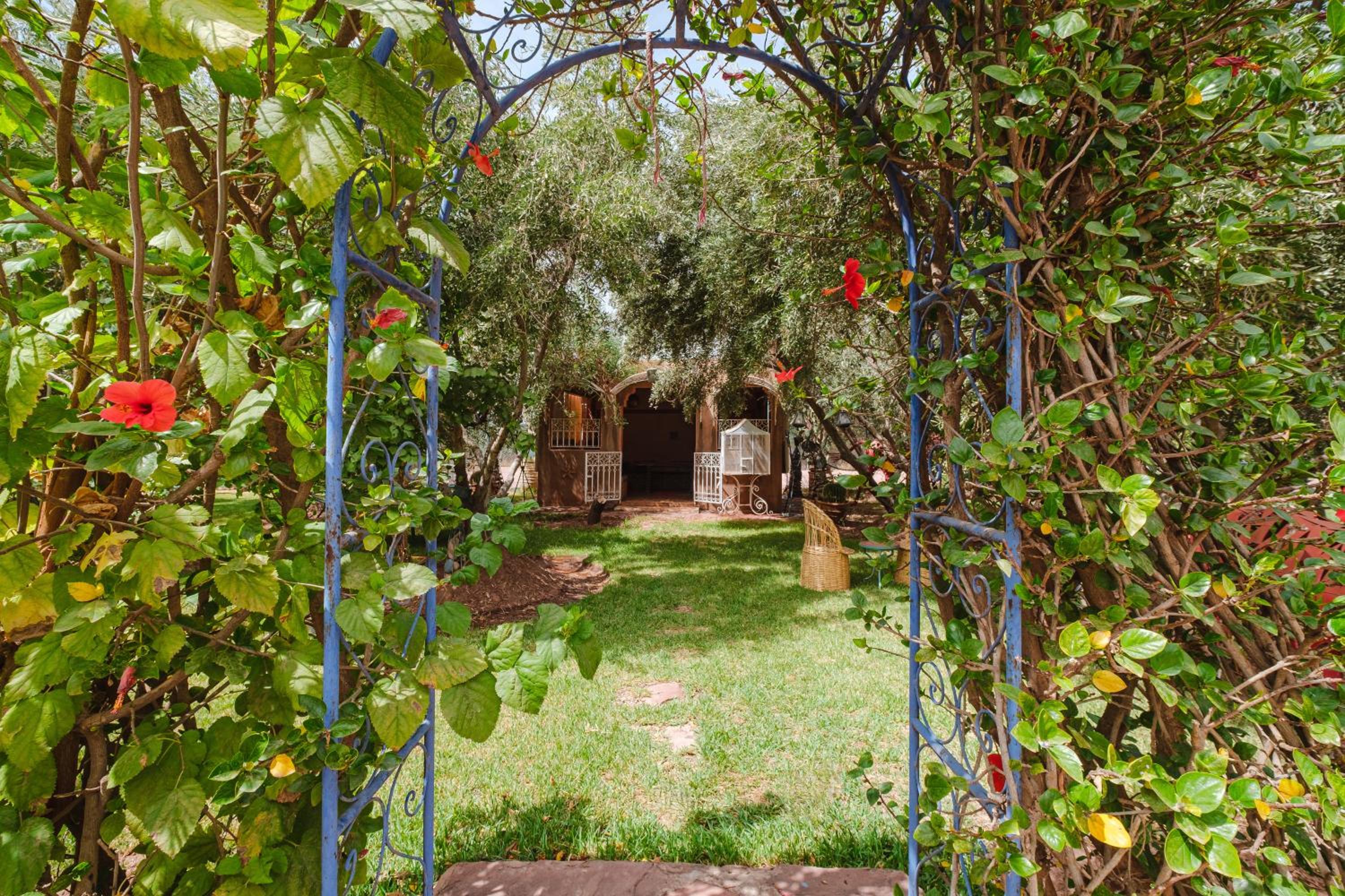 Dar Salah - Eddine Oasis Pool & SPA