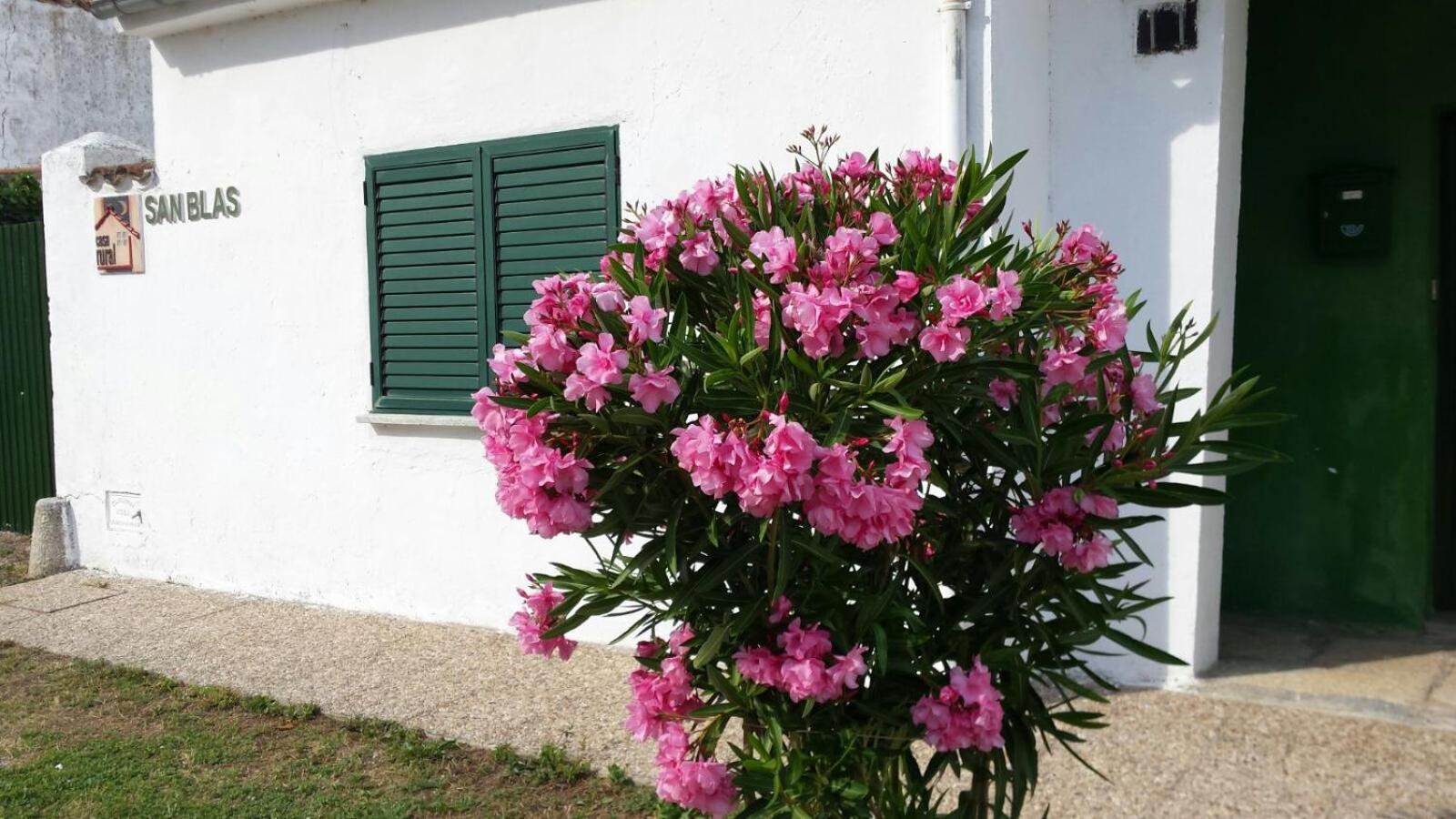 Casa Rural San Blas view 3