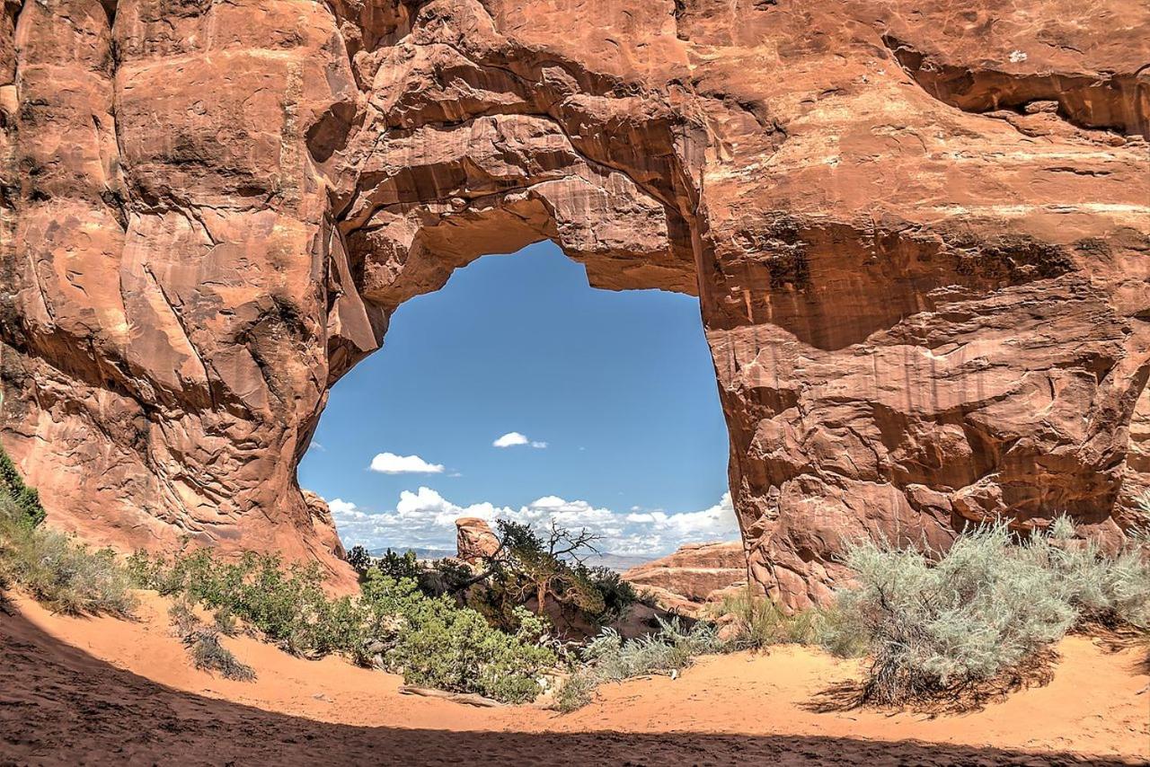 Pine Tree Arch Cabin #15