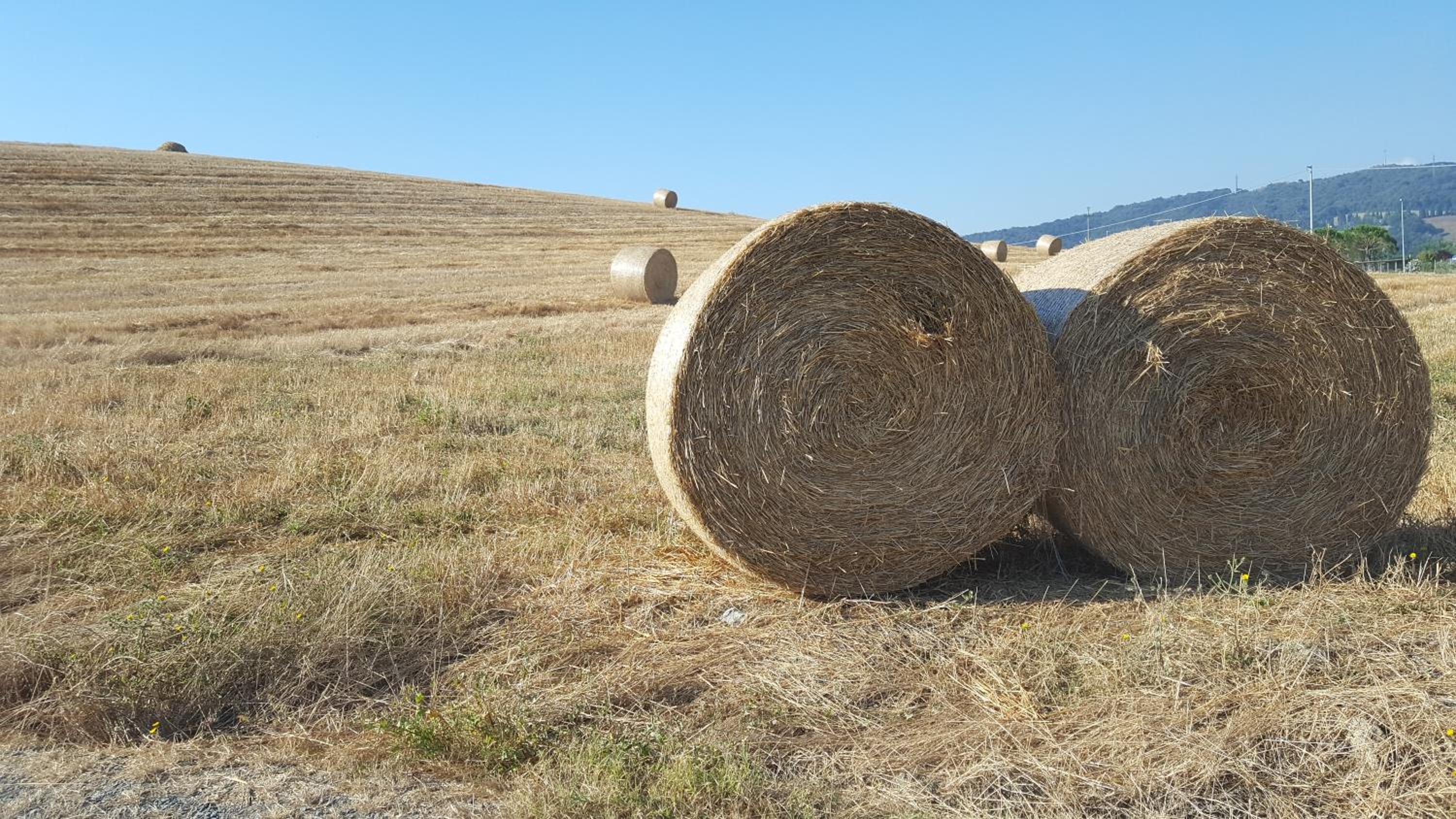 Il Giogo Agriturismo