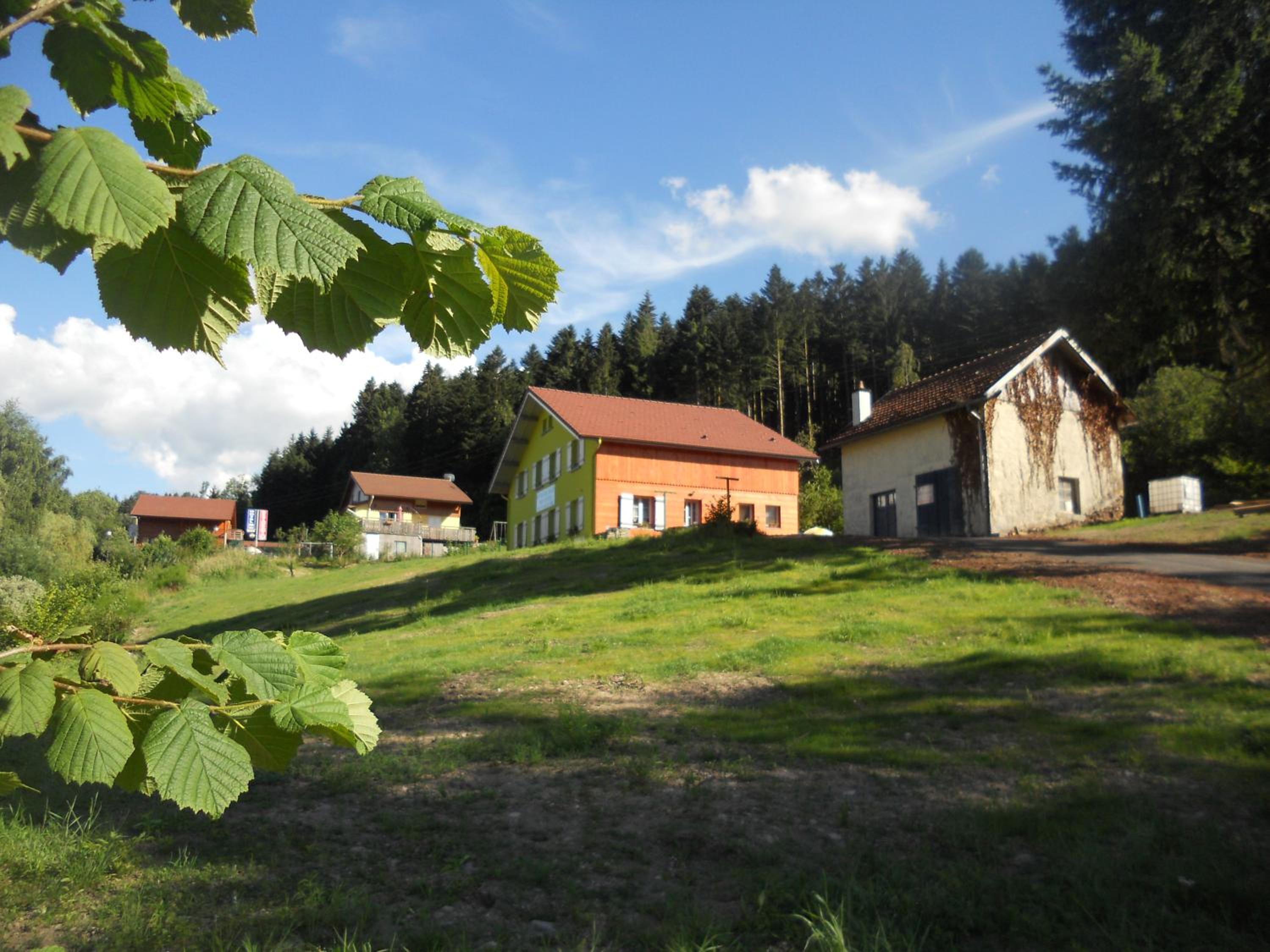 Photo 39
