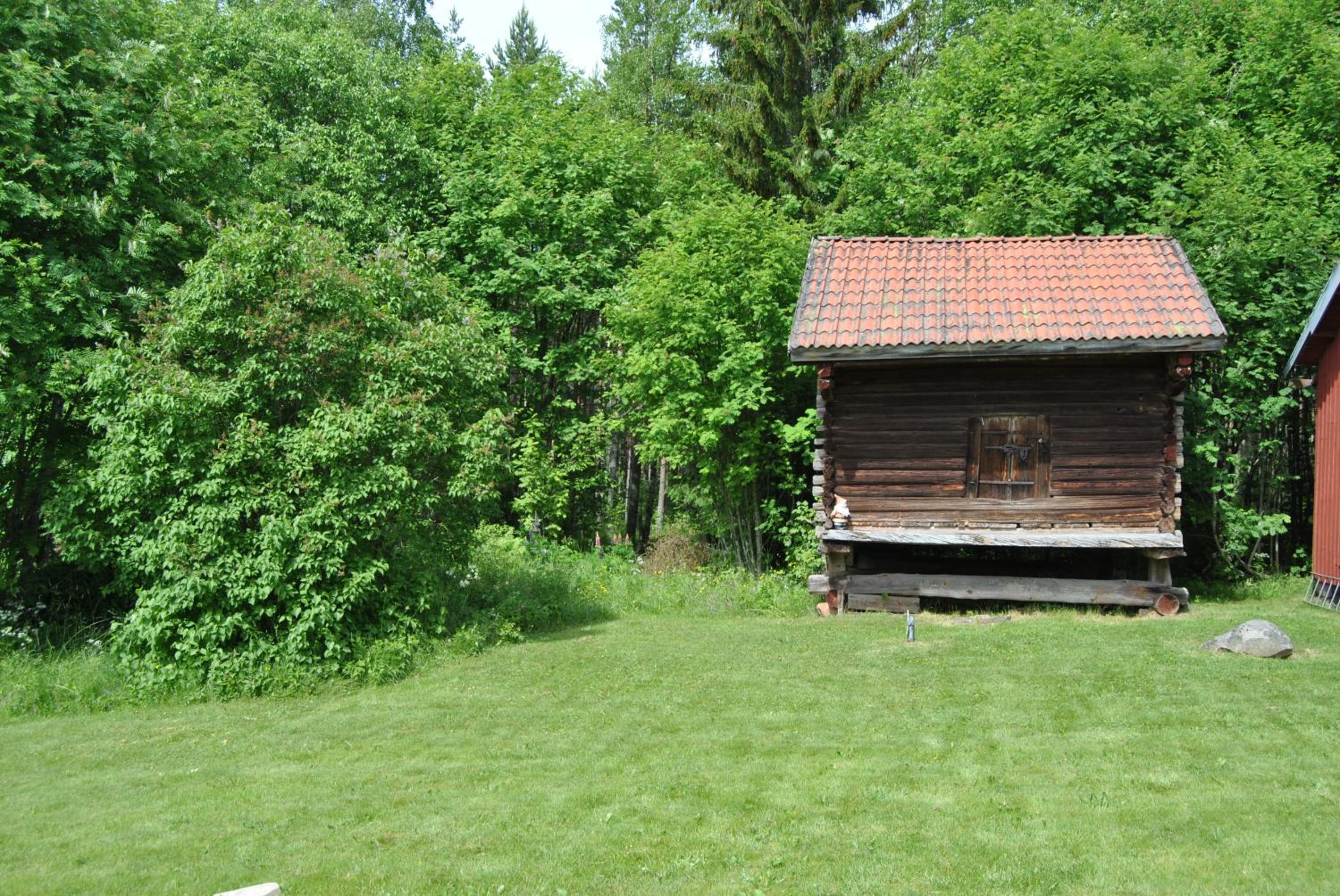 Photo 7