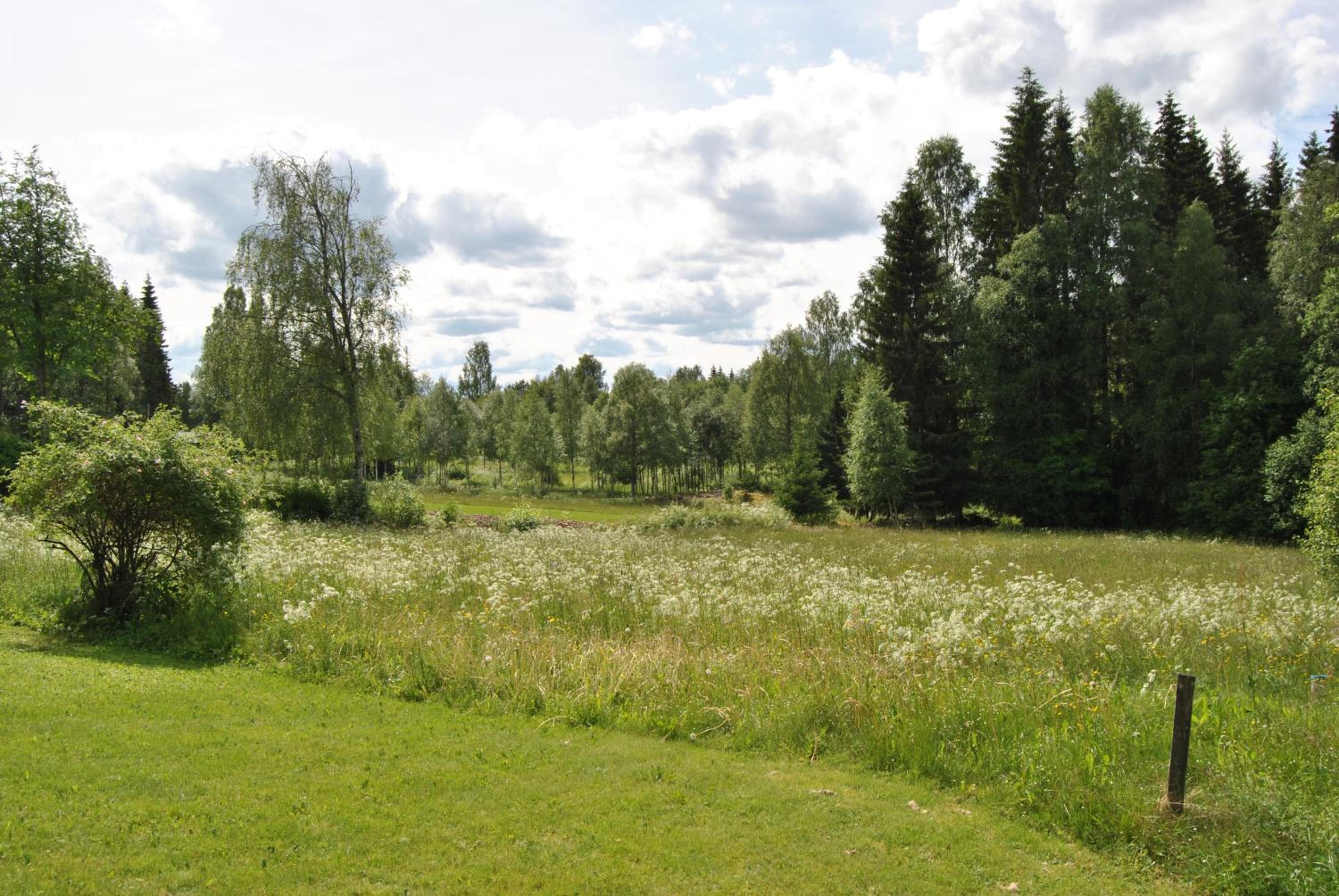 Photo 38