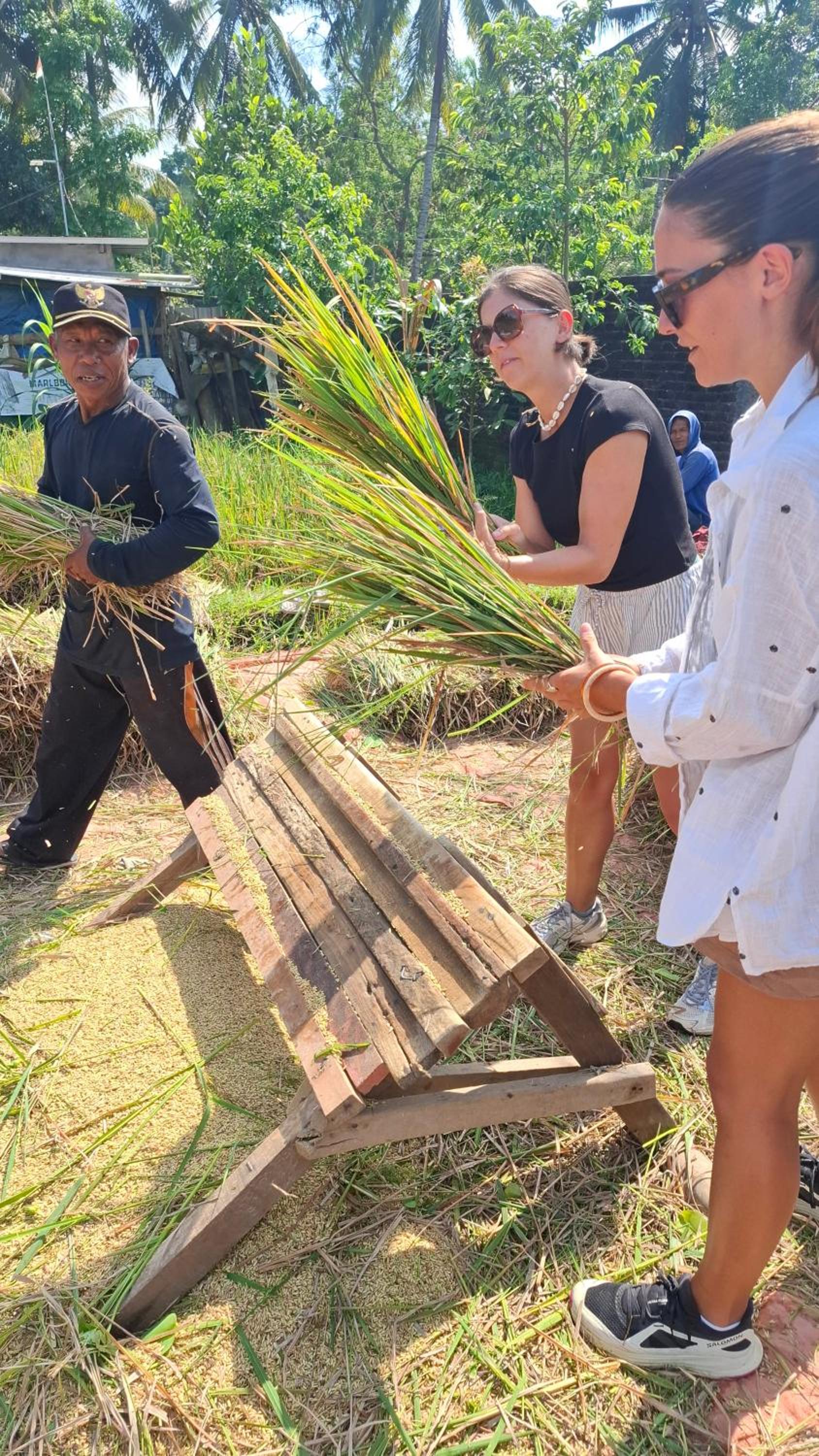Bamboo Craft Homestay