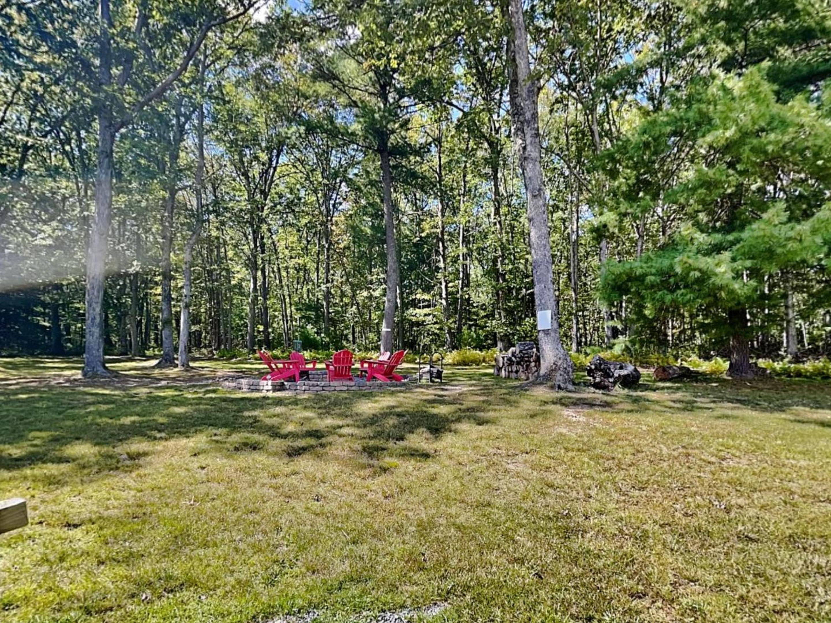 Black Pines Lodge view 4