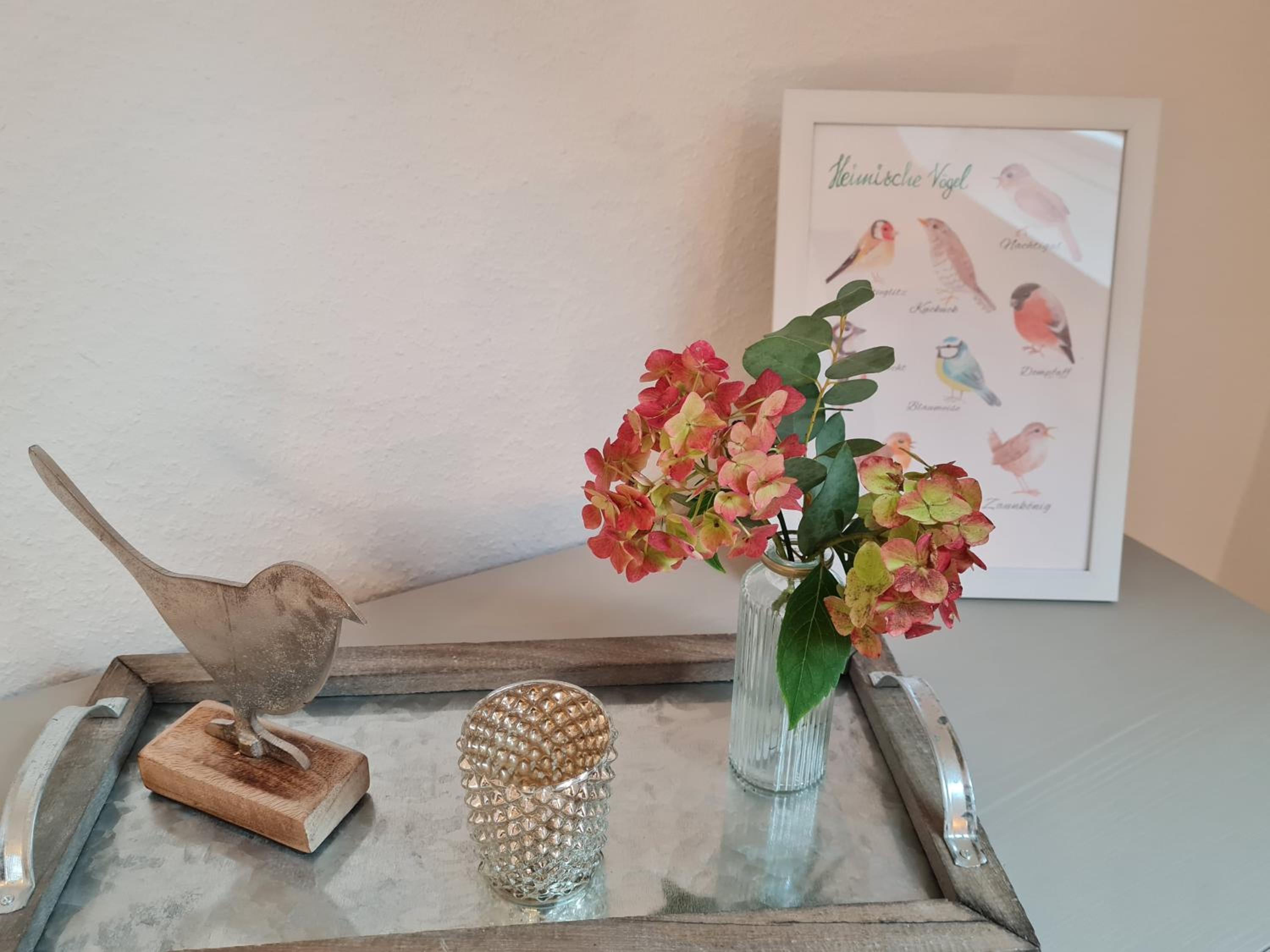 bird's nest Ferienwohnung in der Altstadt, offenes Fachwerk