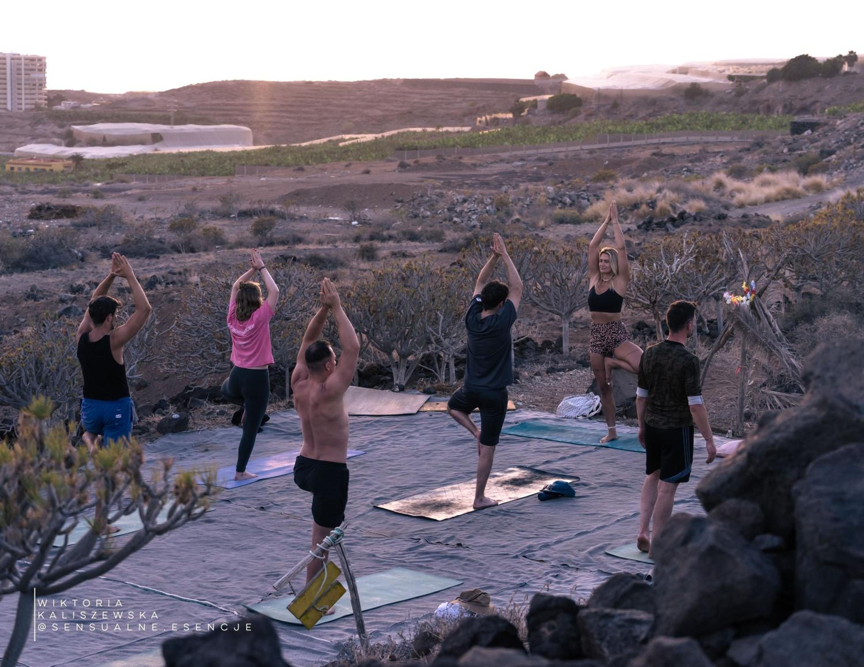 The Tree House Surf Camp