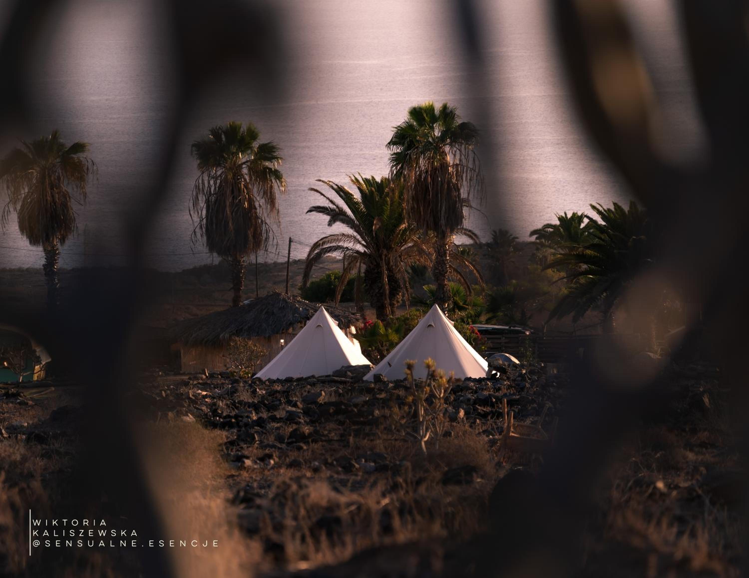 The Tree House Surf Camp