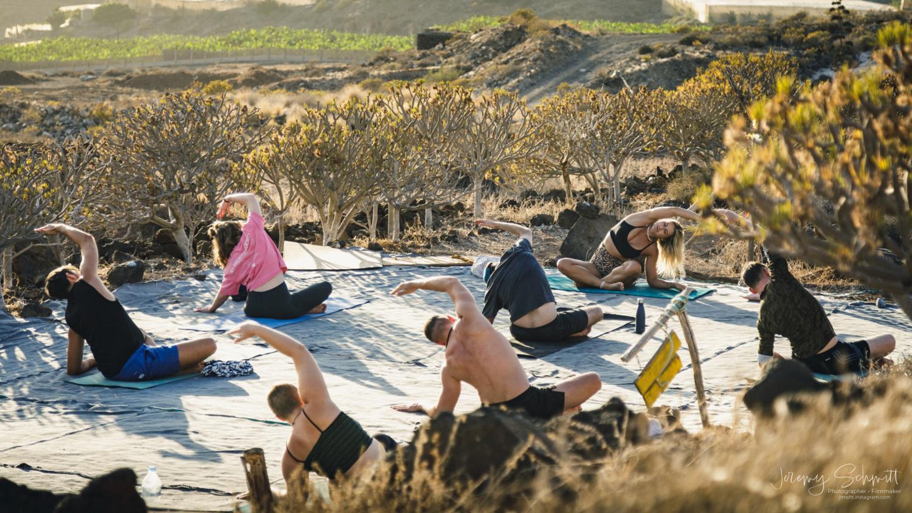 The Tree House Surf Camp