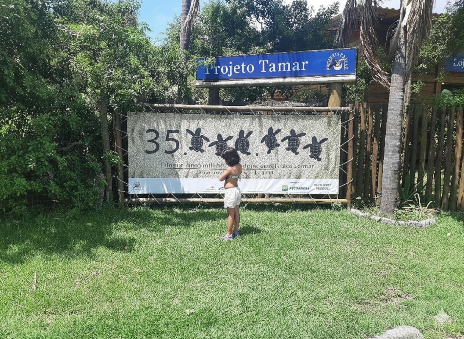 Casa Com Vento