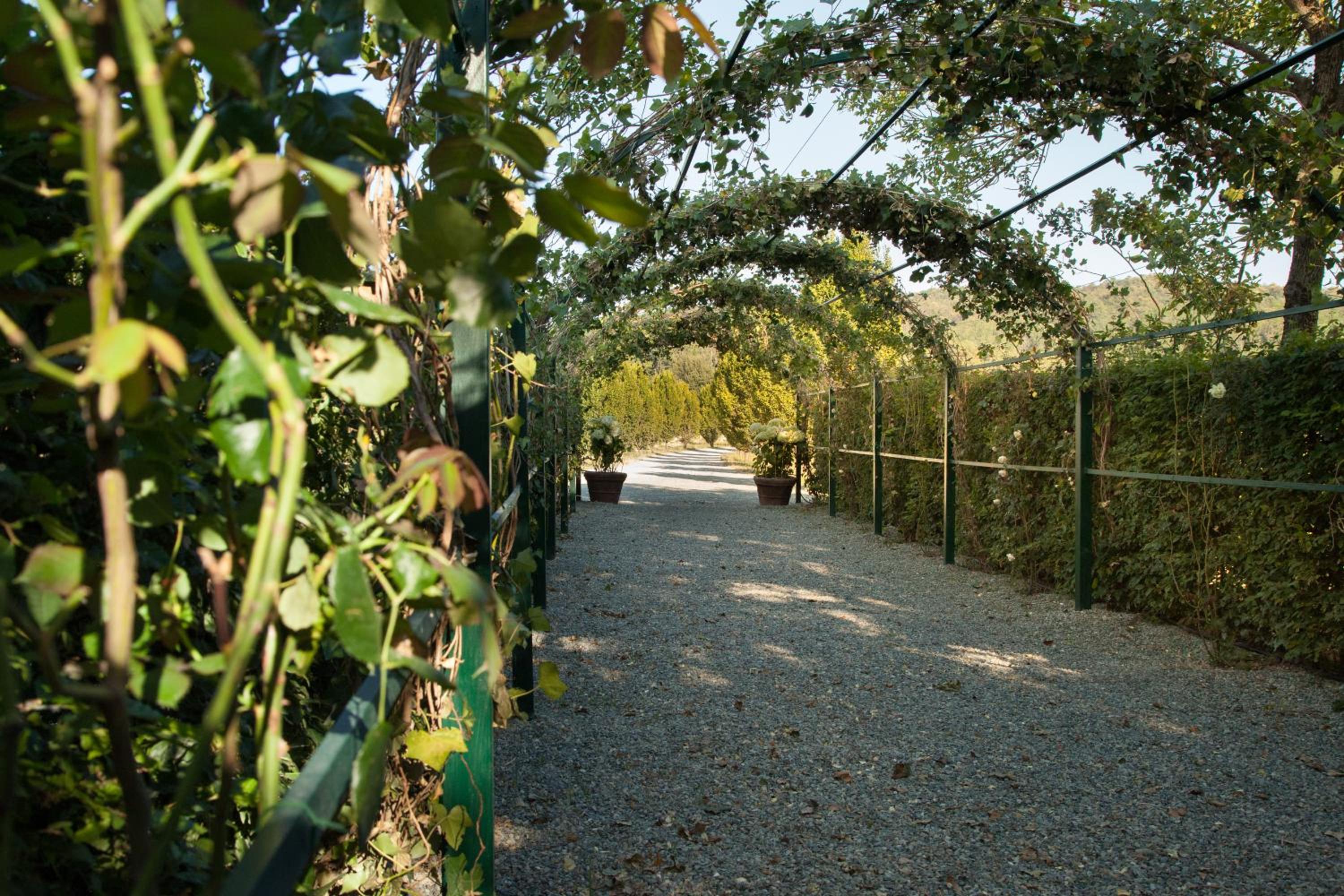 Tenuta La Meirana Gavi