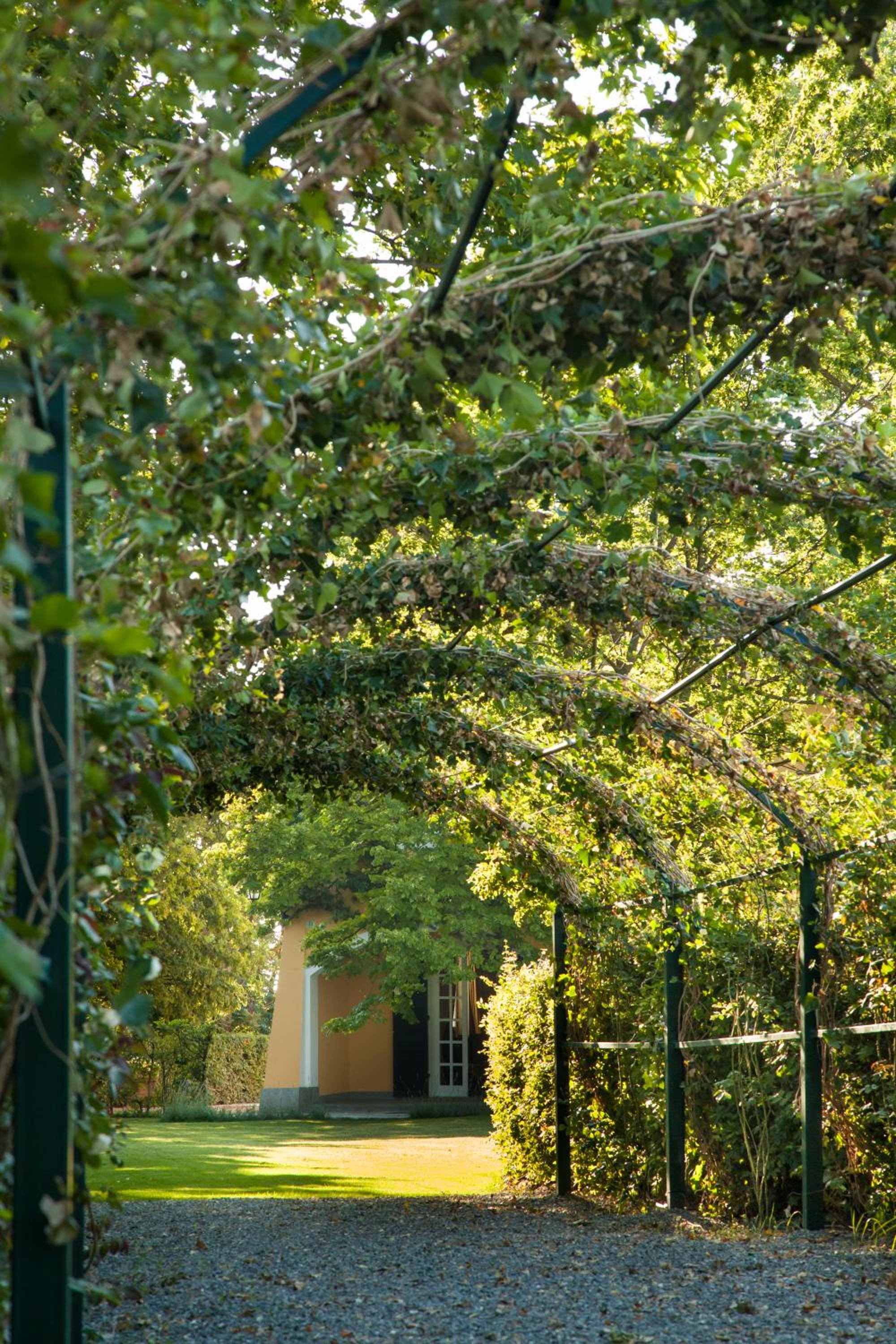 Tenuta La Meirana Gavi