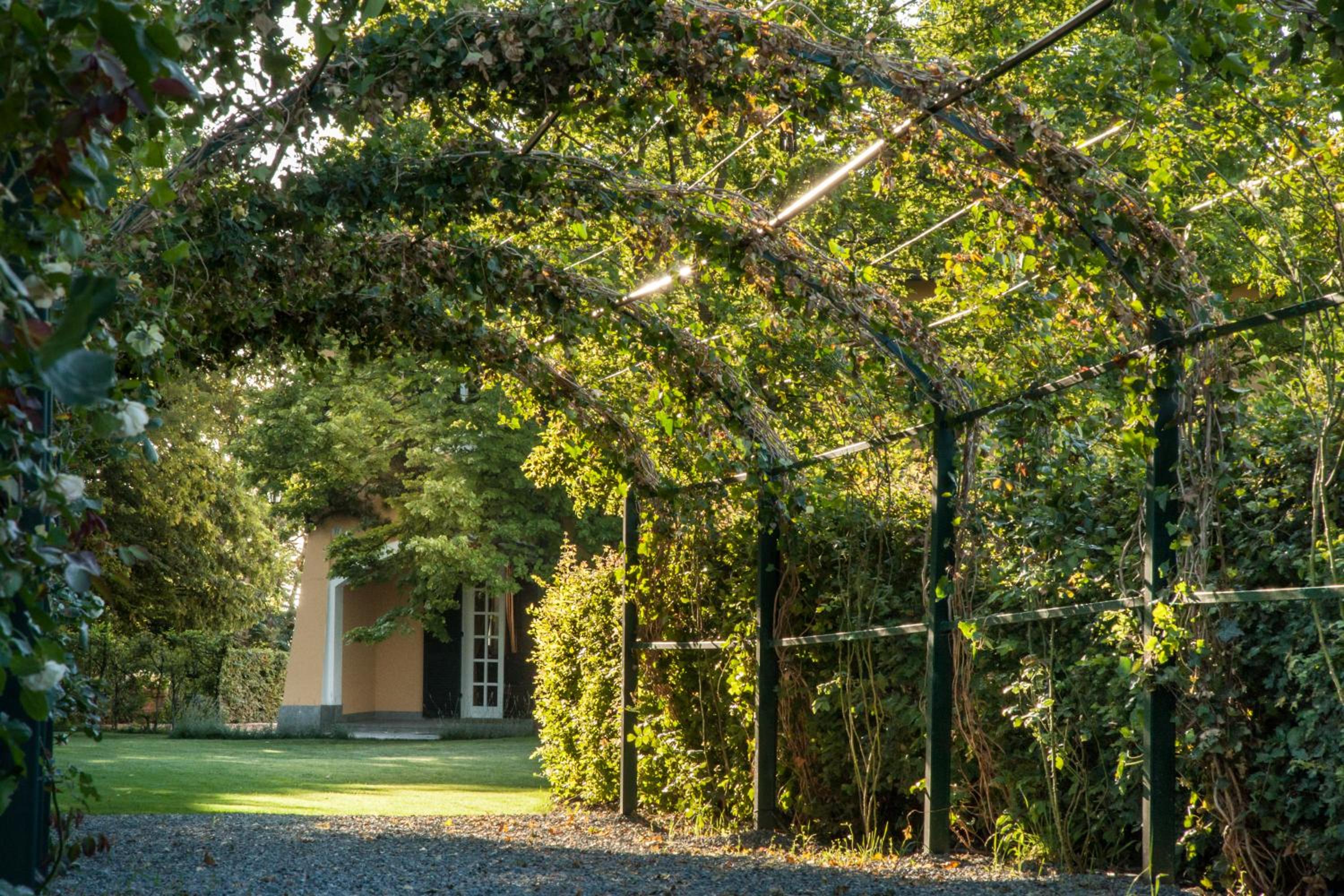 Tenuta La Meirana Gavi