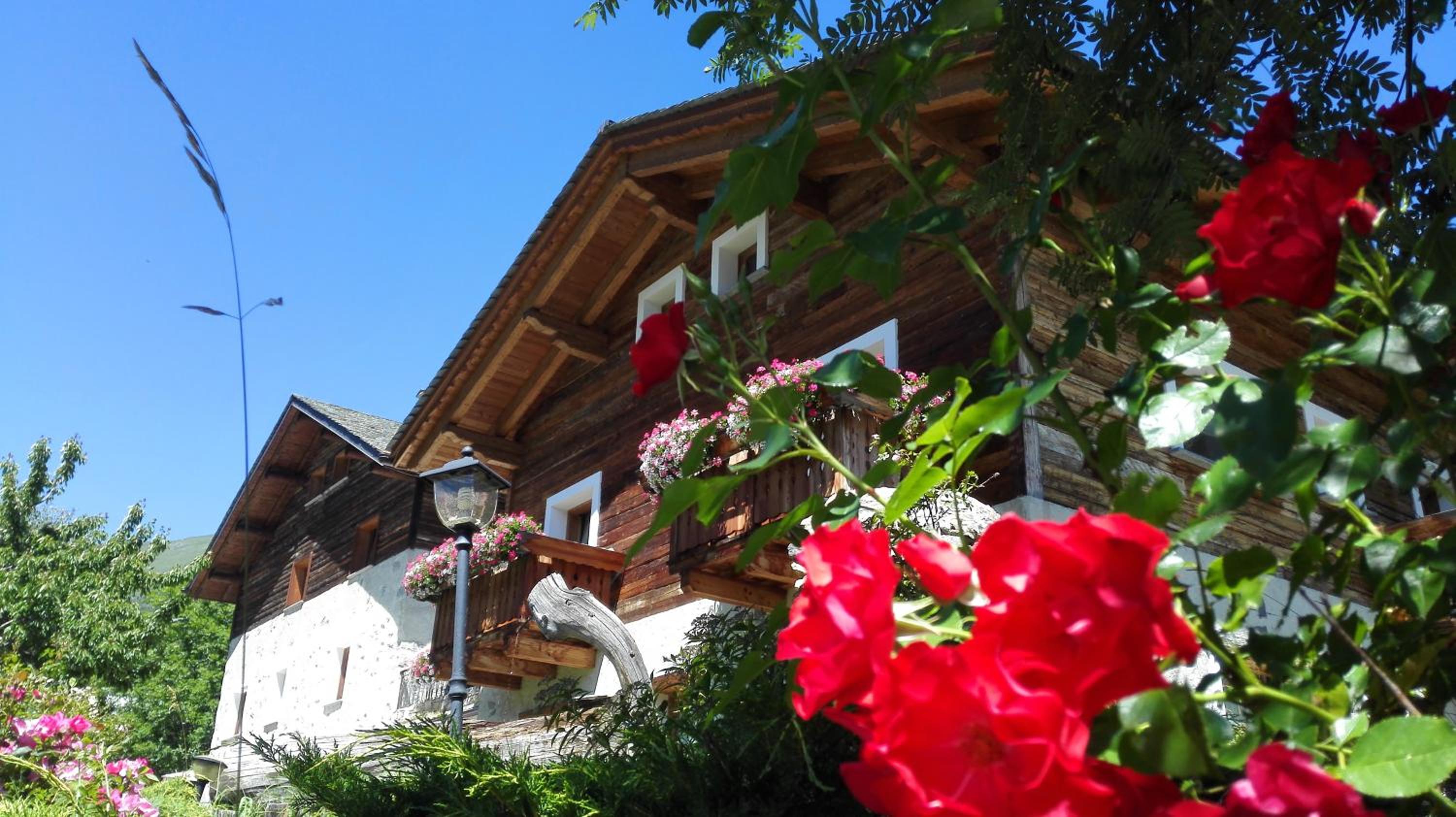 Agriturismo Raethia