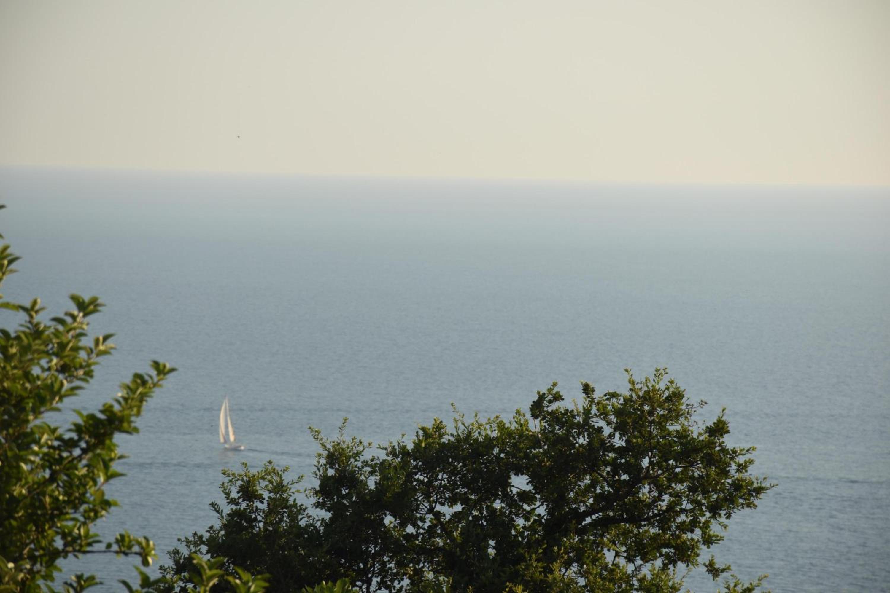 Photo 56