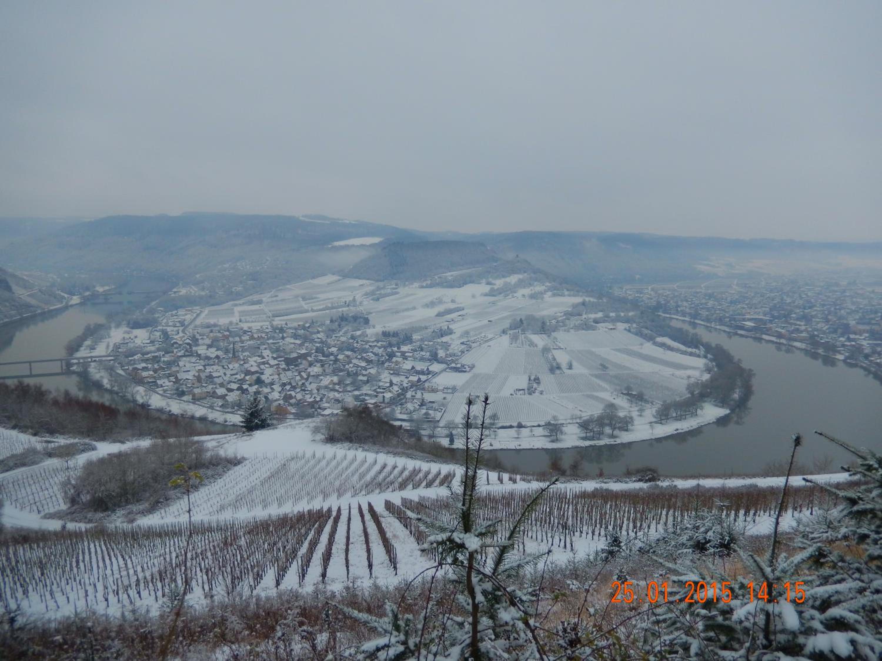 Photo 44