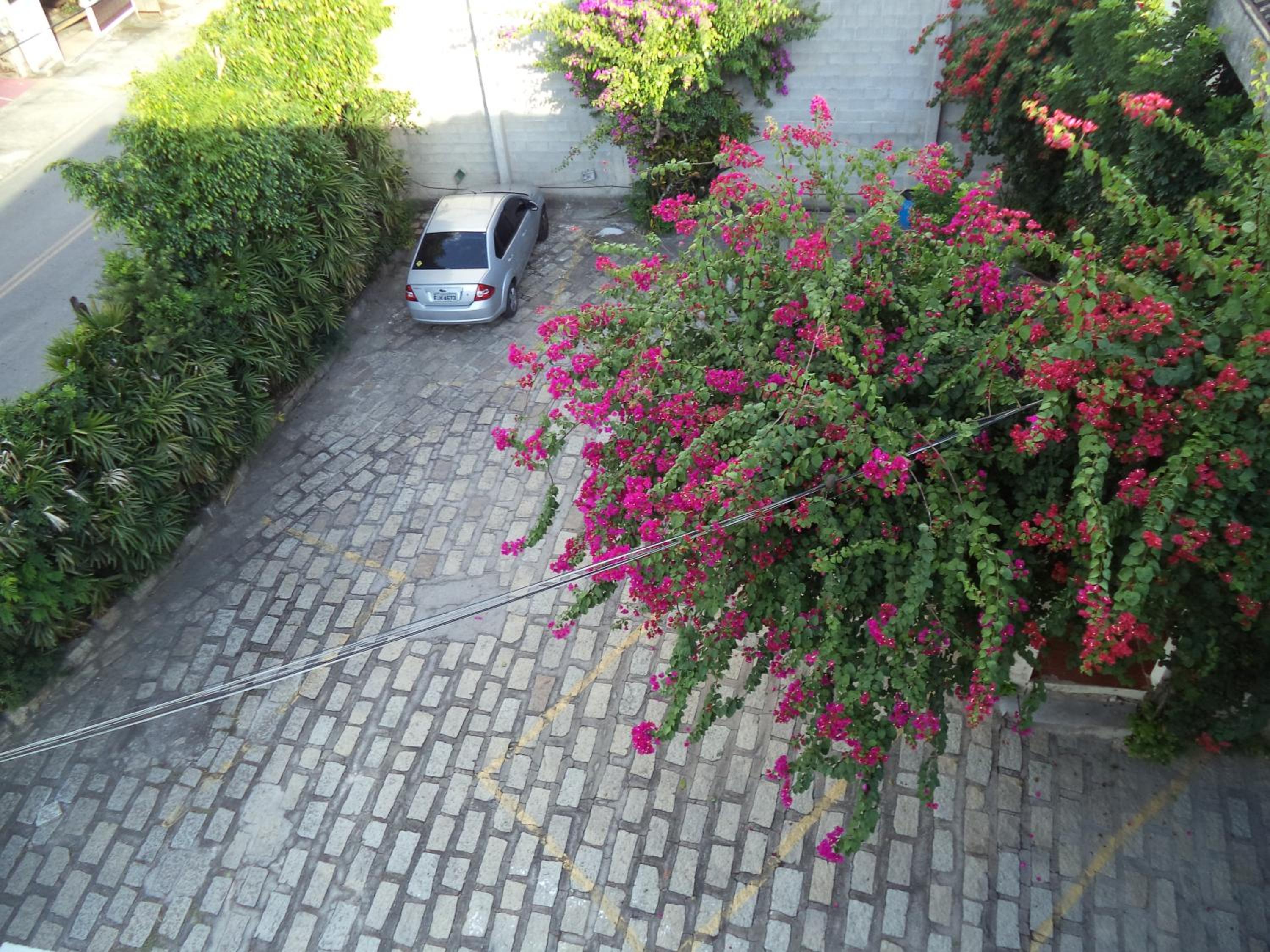 Photo 29