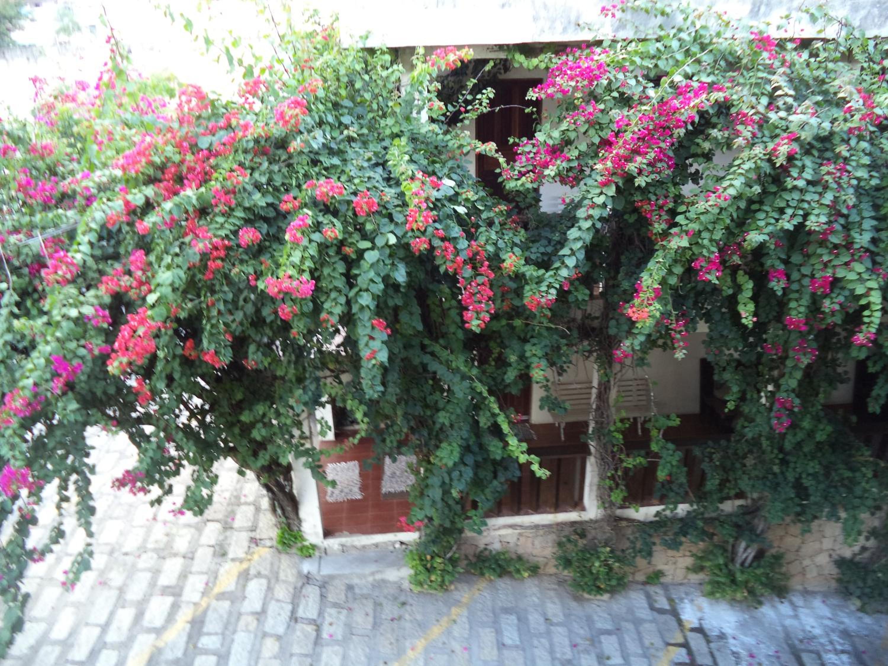 Photo 30