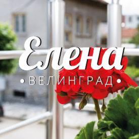Guest House Elena