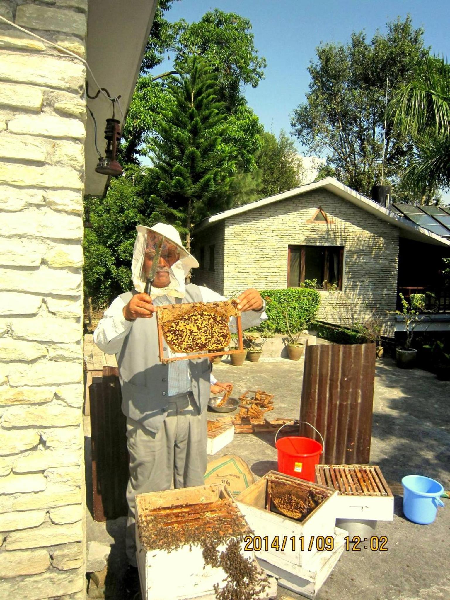 Photo 32