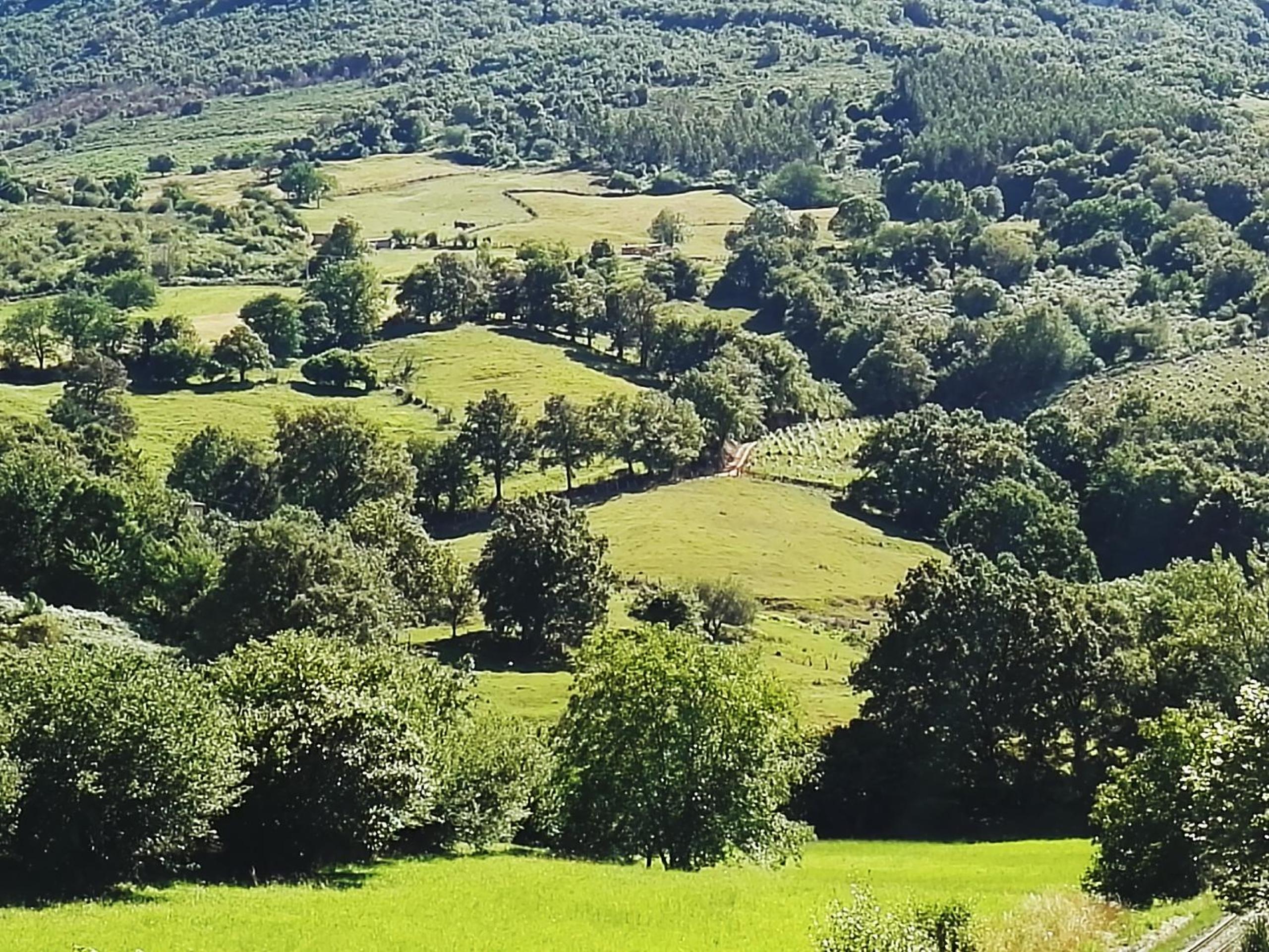 Finca Artienza